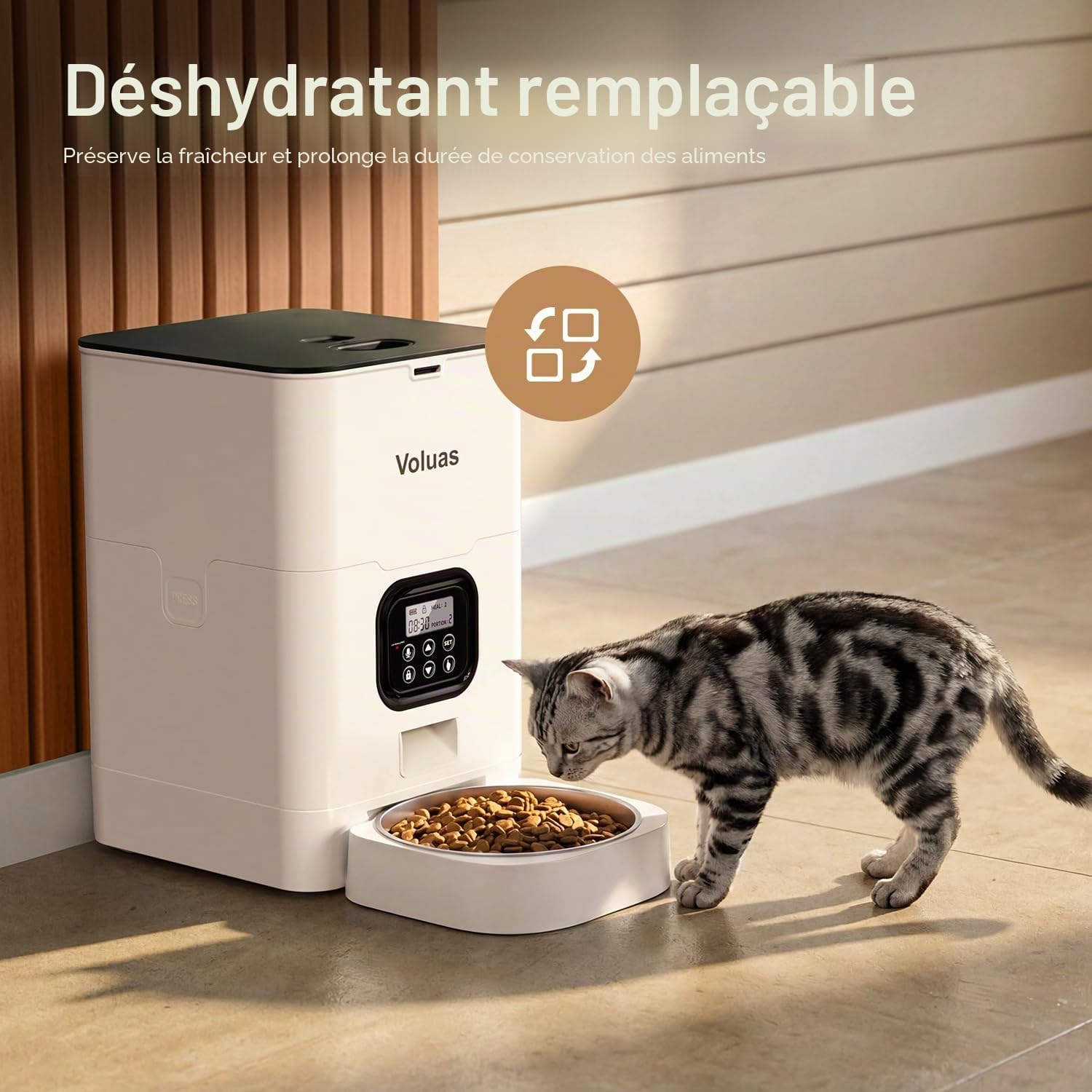 VOLUAS Distributeur Automatique Nourriture Chats et Chiens, Nourriture Sèche avec Sac Désiccant, Programmable, Contrôle Portion 4 Repas/Jour.