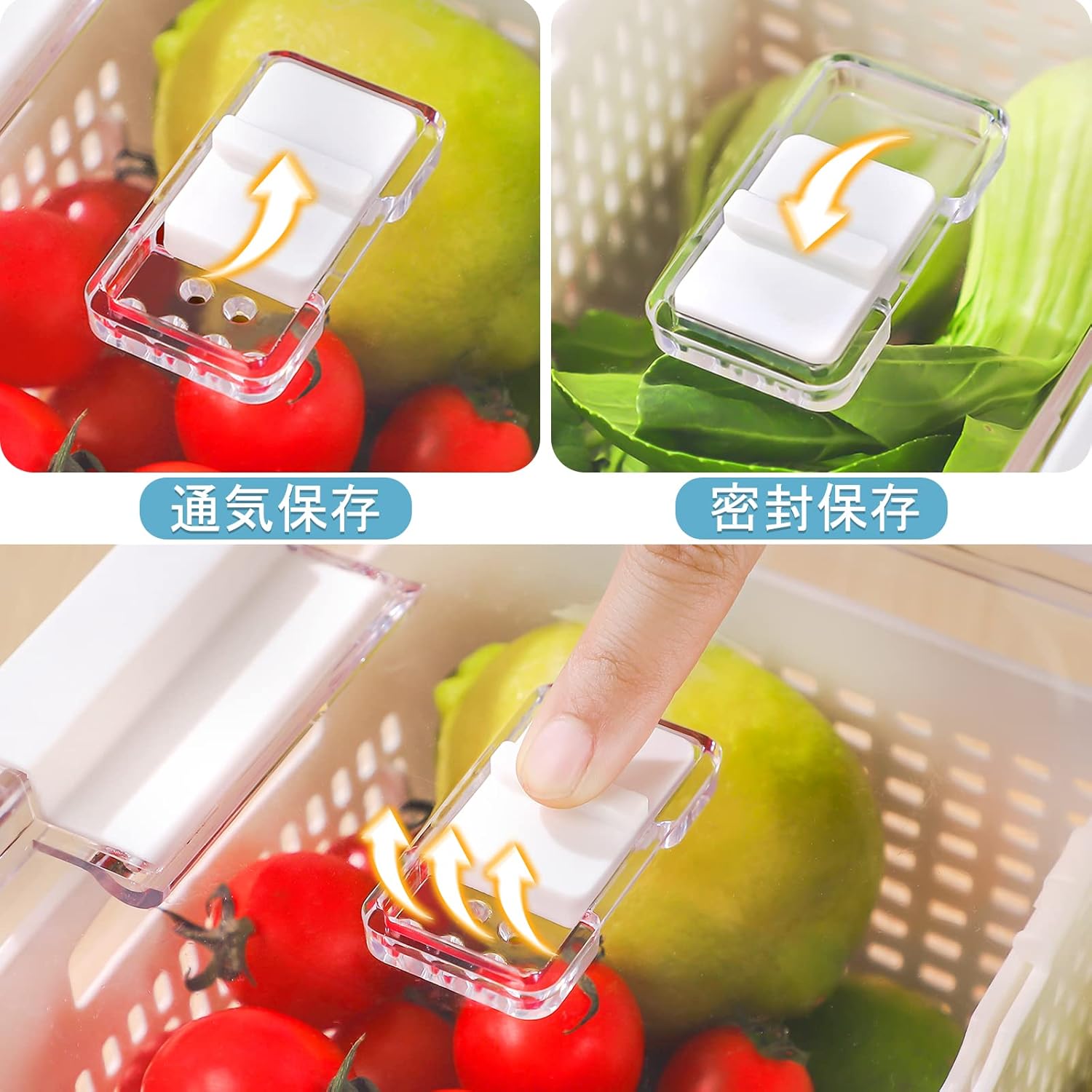 キッチン収納 ザル付き保存容器 野菜保存ケース 野菜室収納 冷蔵庫収納 保存容器 三個セット 野菜果物保存 冷蔵用 湿気防止 鮮度保持 鮮度保存袋付き １０枚セット 厚手 特売