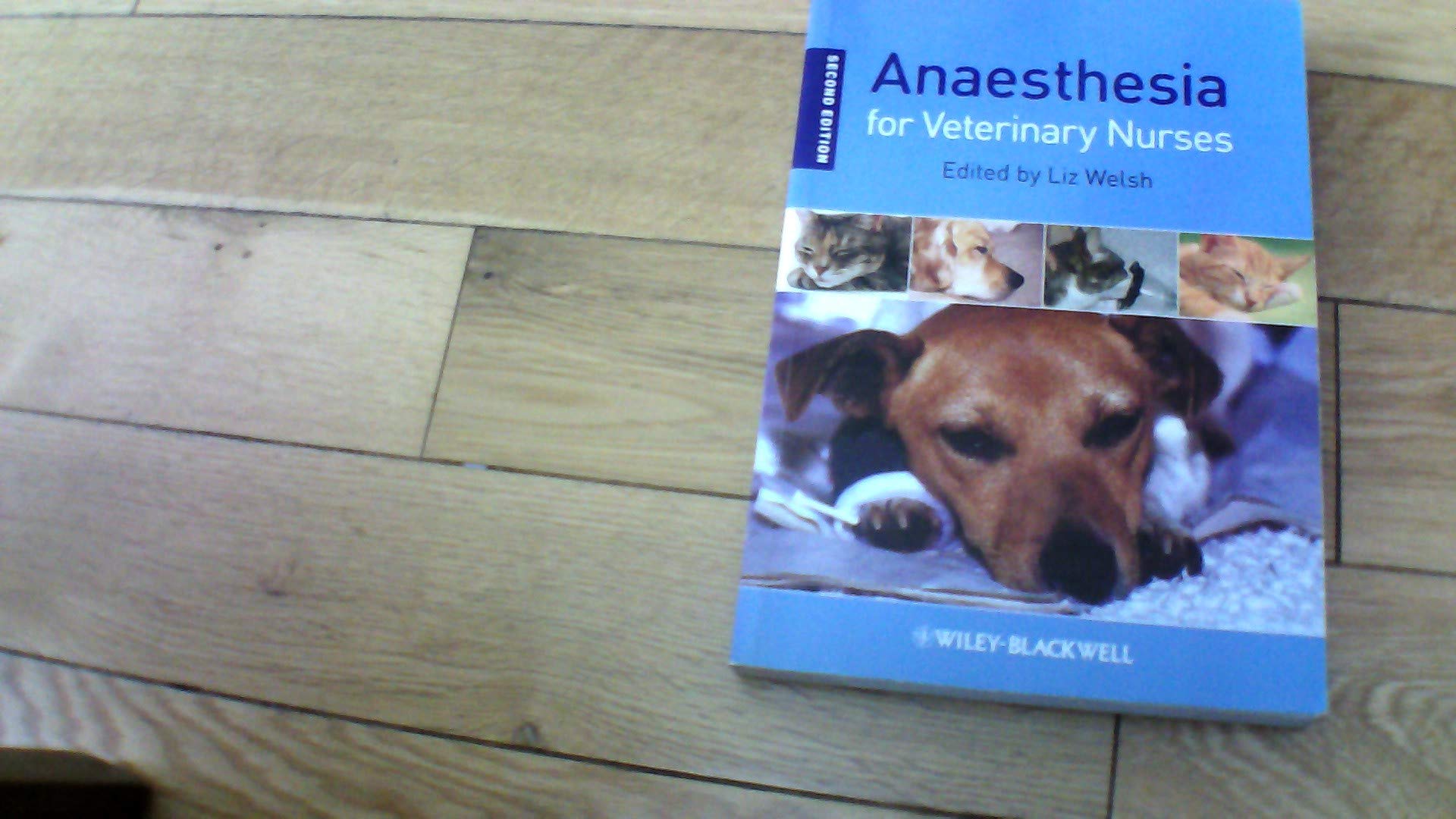 Anaesthesia for Veterinary Nurses by E Welsh PAPERBACK 9781405186735