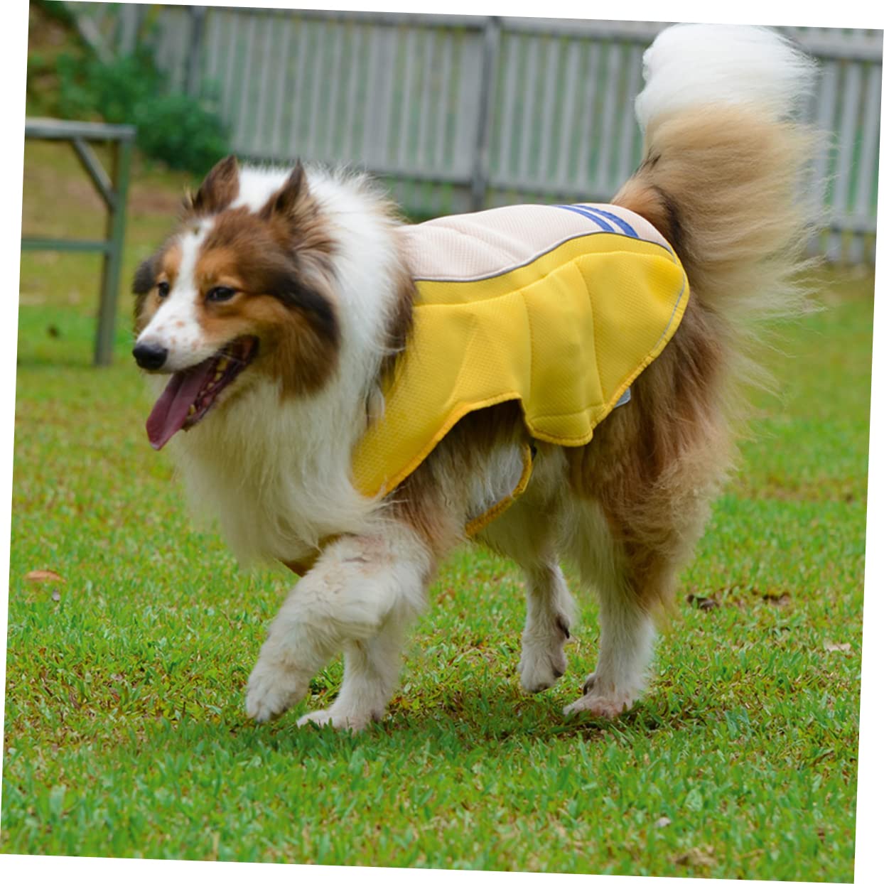 BESPORTBLE Gilet Rinfrescante Cane per Prevenire Colpo di Calore