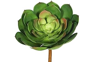 Vickerman Indoor Artificial Succulent, Embellished with Light to Medium Green Petal Leaf Style