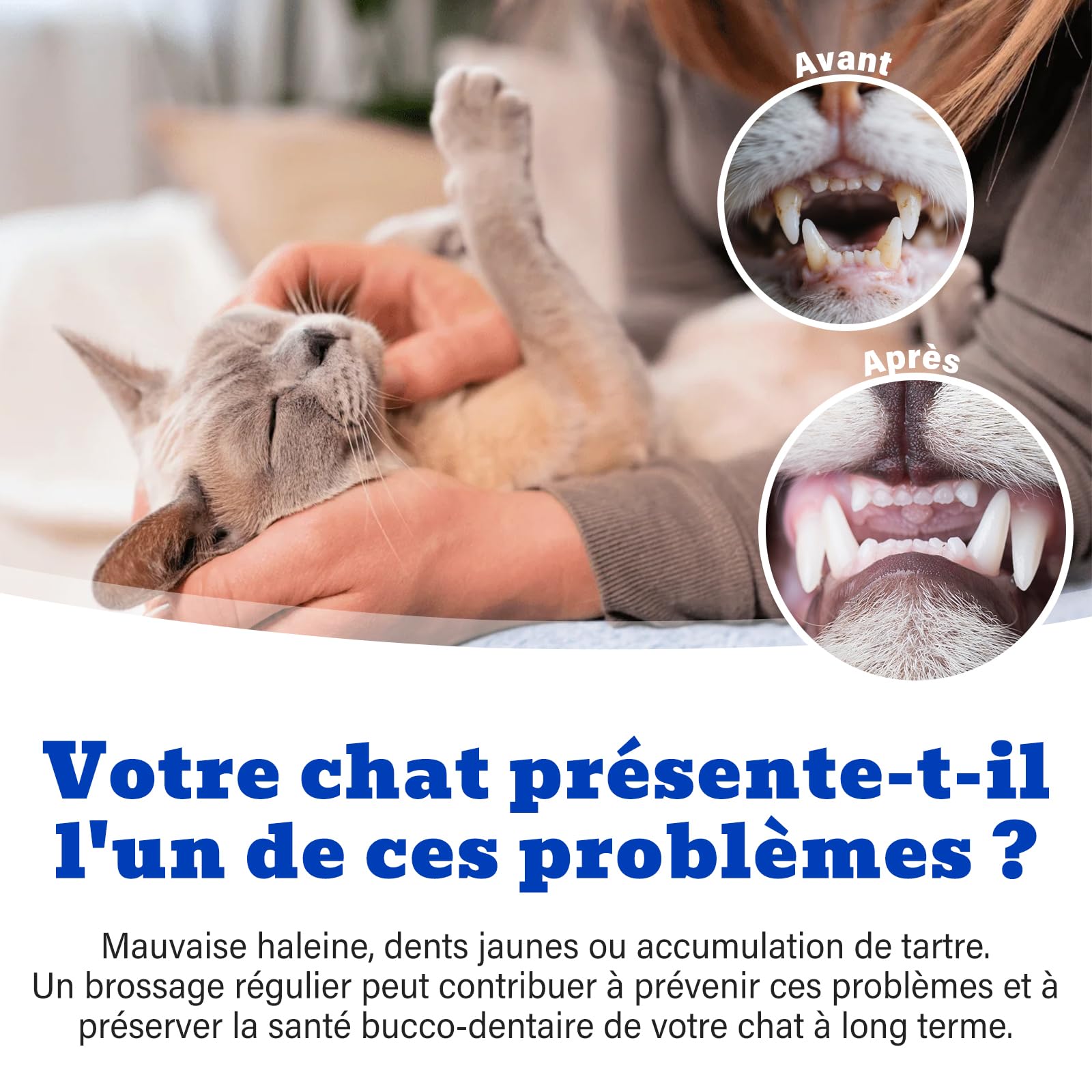 Dentifrice Chat, Goût de Thon, Inclus Brosse à Doigts et Brosse à Dents à Poils Souples, Formule douce pour haleine fraîche et soins dentaires, 30g