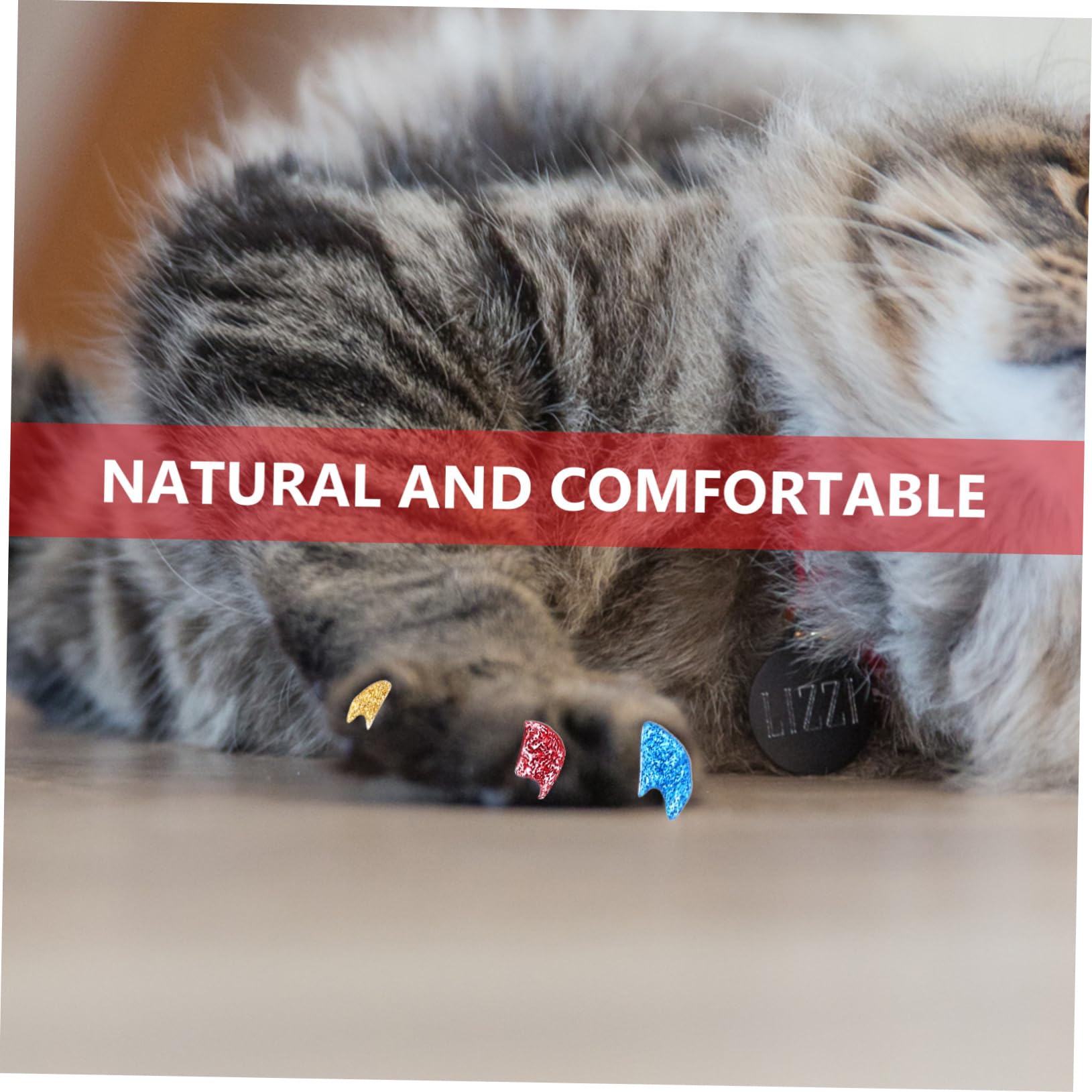 Kisangel Lot de 480 Griffes pour Animaux De Compagnie Pattes pour Chats Griffes De Chat Pattes De Griffes pour Chatons Pointes D'Ongles pour Chat Enveloppes D'Ongles pour Chaton