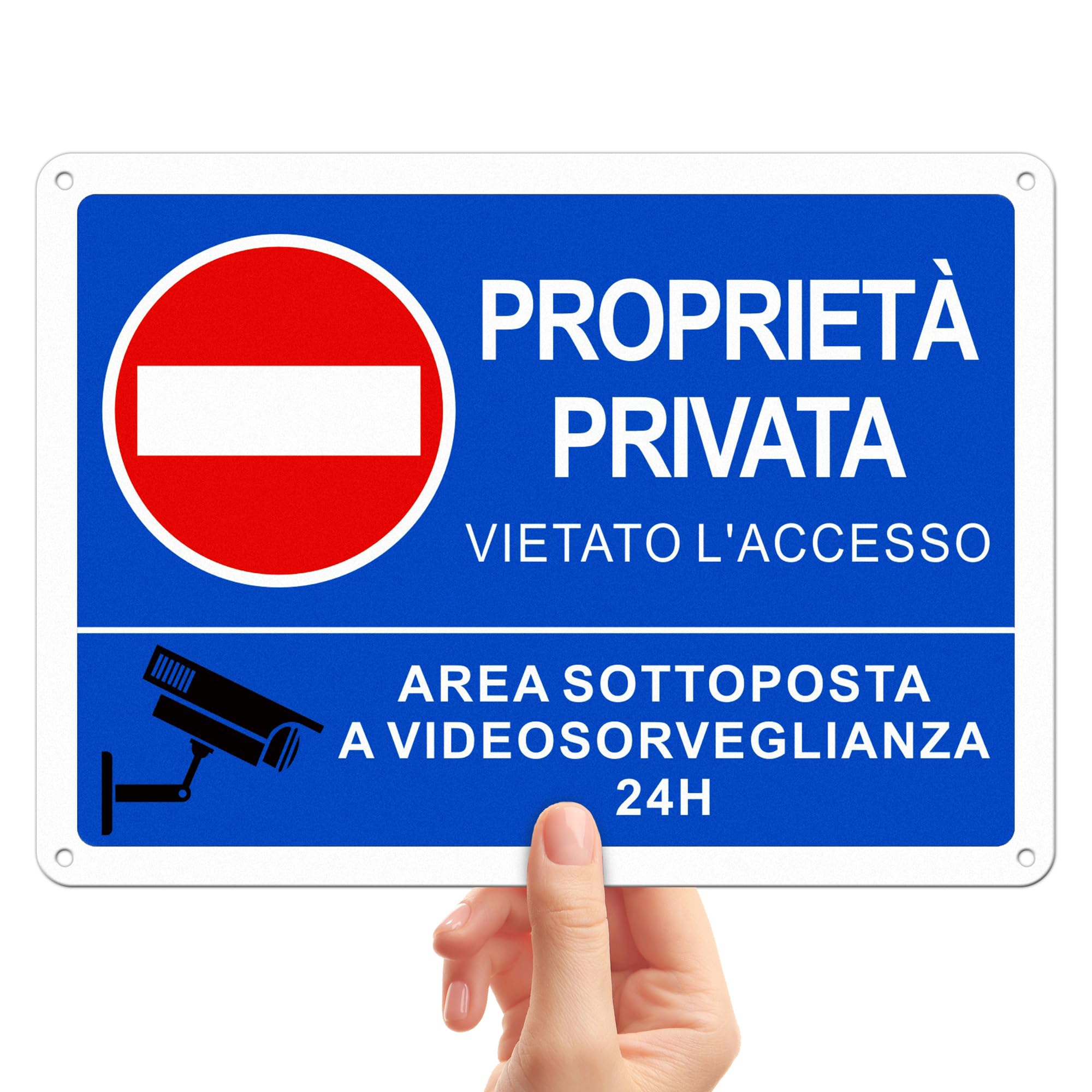 TAKULA Cartello Proprietà Privata - Cartello Vietato l'accesso Proprietà Privata,25 * 18CM Cartelli Proprieta Privata Resistente ai Raggi UV, Alla Ruggine e All'acqua