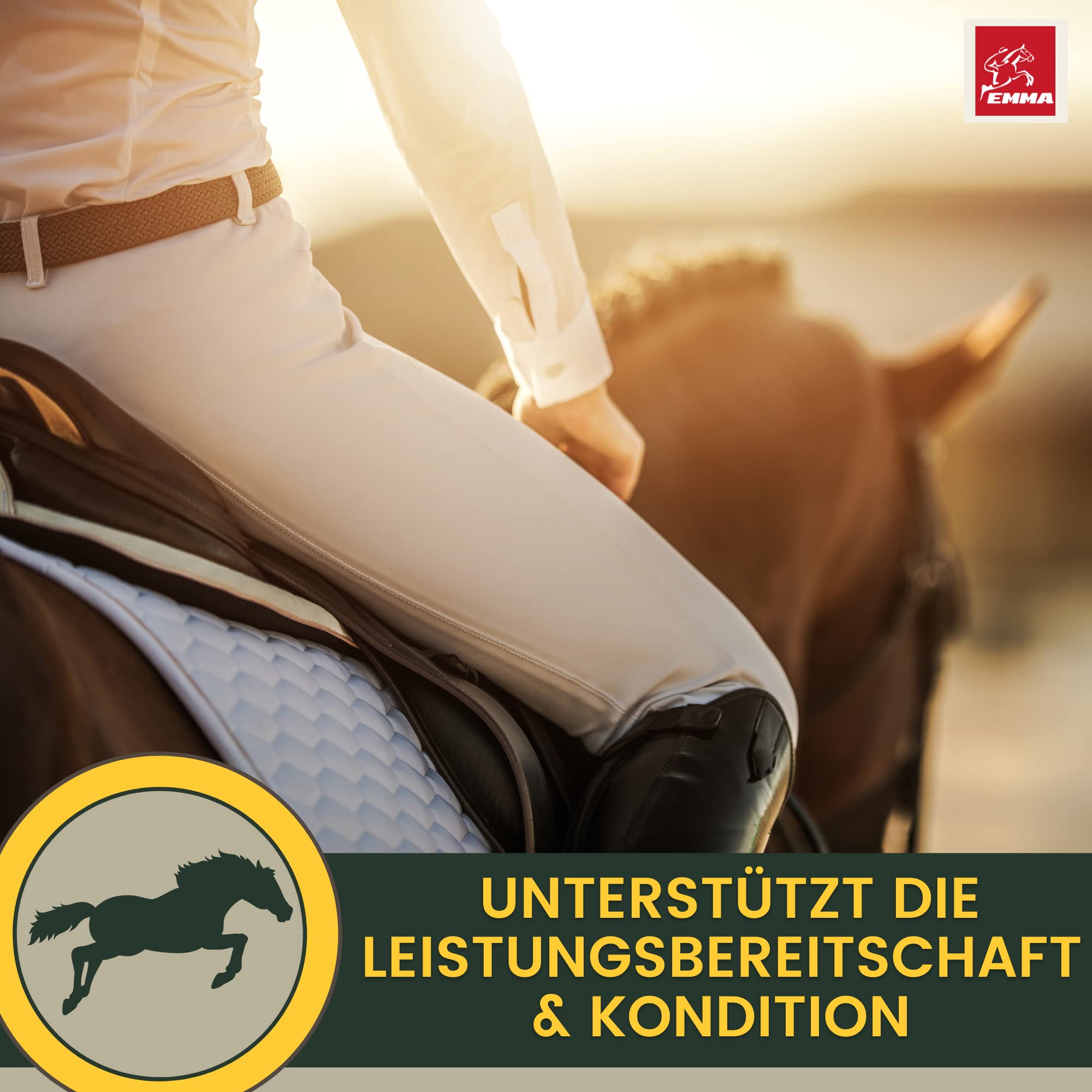 Vitamine E Cheval I Sélénium lysine Cheval I e Liquide complément Alimentaire Energy Booster Musculature I Renforcement Musculaire I Aliment reconstituant pour Chevaux Senior minéraux Chevaux 1L
