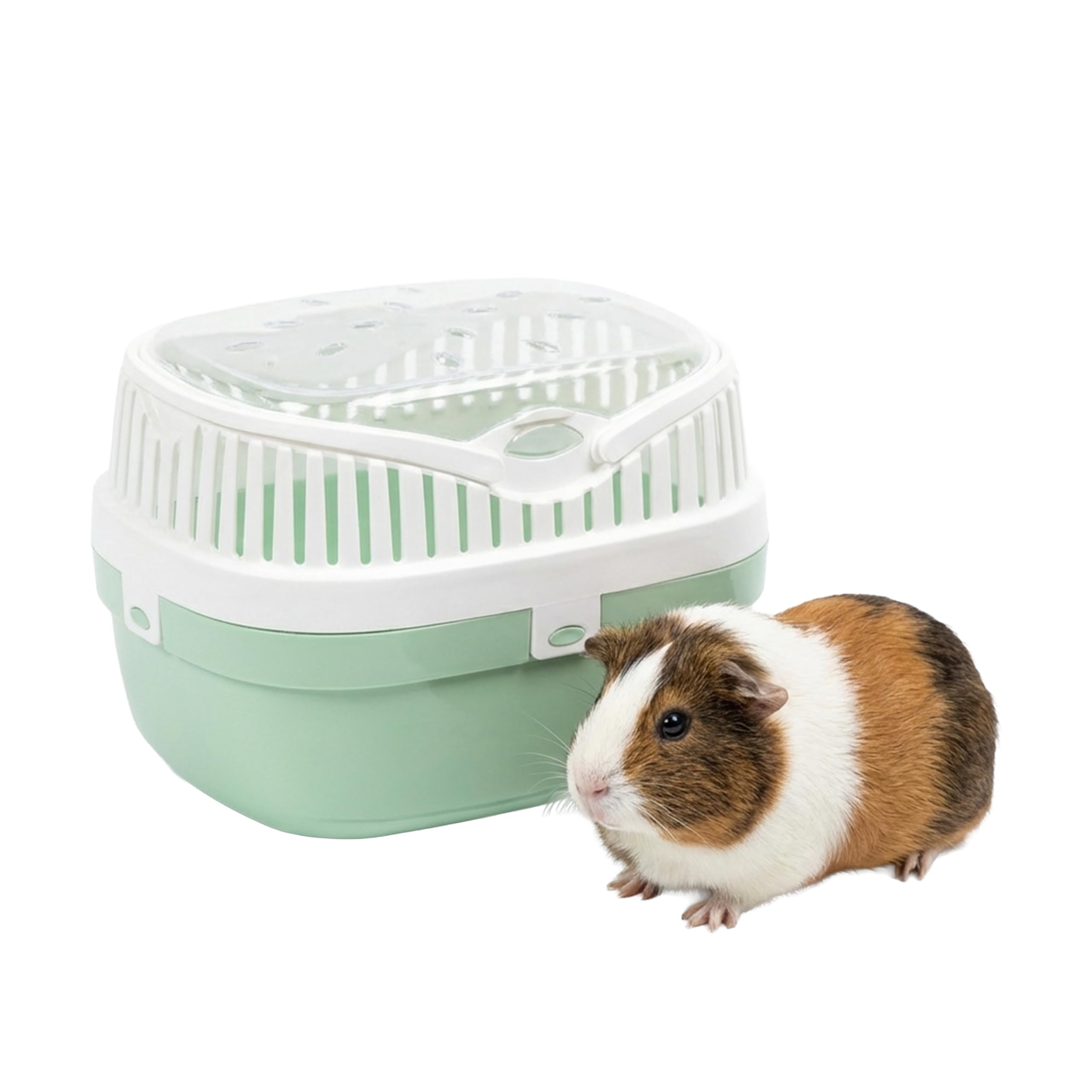 Ferplast Trasportín para Conejillos de Indias y Otros roedores ALADINO Medium Jaula de Viaje para Conejillos de Indias, Plástico, Rejillas de ventilación, Cómoda asa, 30 x 23 x h 21 cm Azul