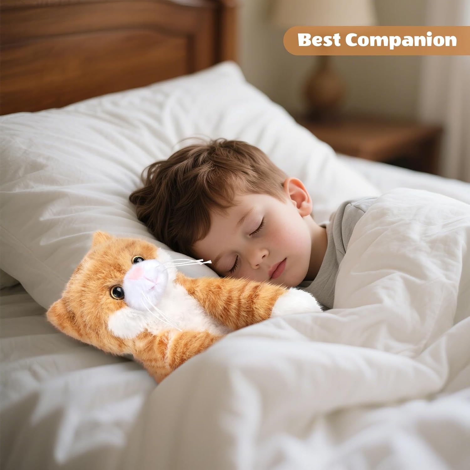 https://m.media-amazon.com/images/I/71l+k6c-m9L._AC_SL1500_.jpg