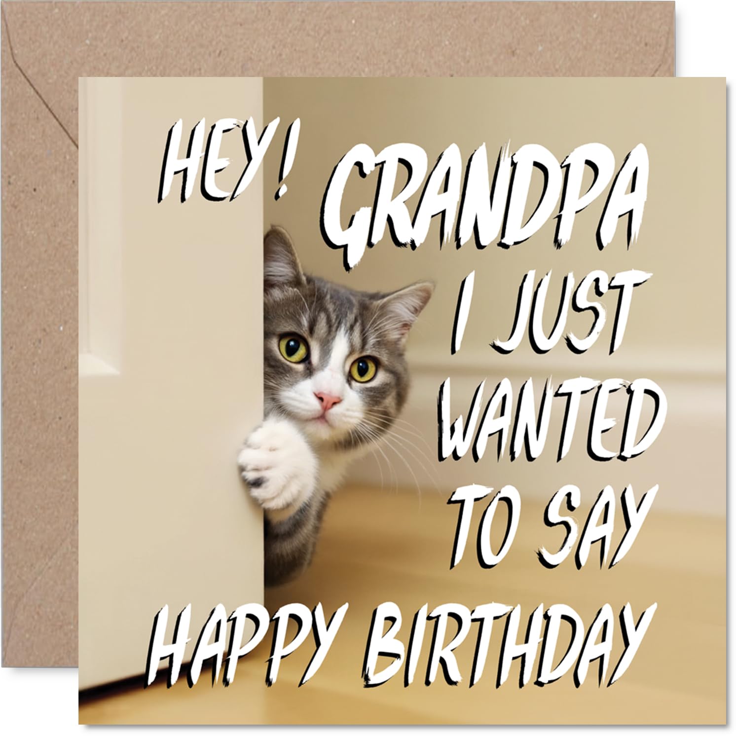 Grandpa Birthday Card - Cute Cat Peekaboo - Happy Birthday Card for Grandpa from Grandson Granddaughter, 145mm Lovable Kitty Bday Greeting Cards