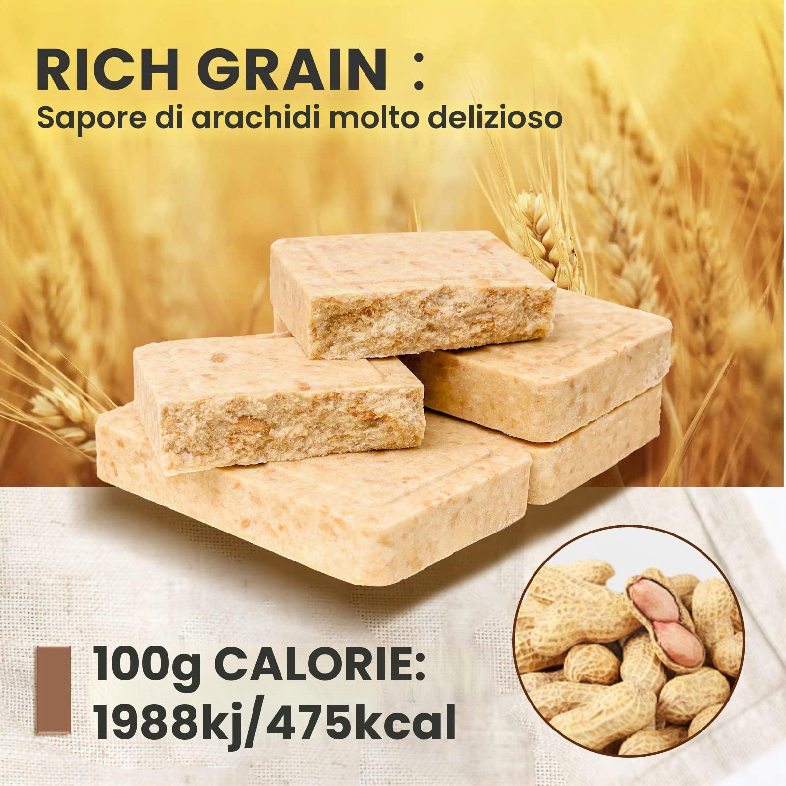 BDH 1 confezione di barre alimentari di emergenza, con linguette di sopravvivenza originali per campeggio, emergenza, tempesta di neve, terremoti, disastri, con durata di 20 anni, 250 g/bar