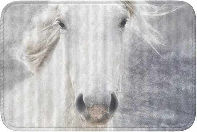 Paillasson Camarguais InOmak - Tapis de Bain Antidérapant Absorbant 40x60 cm