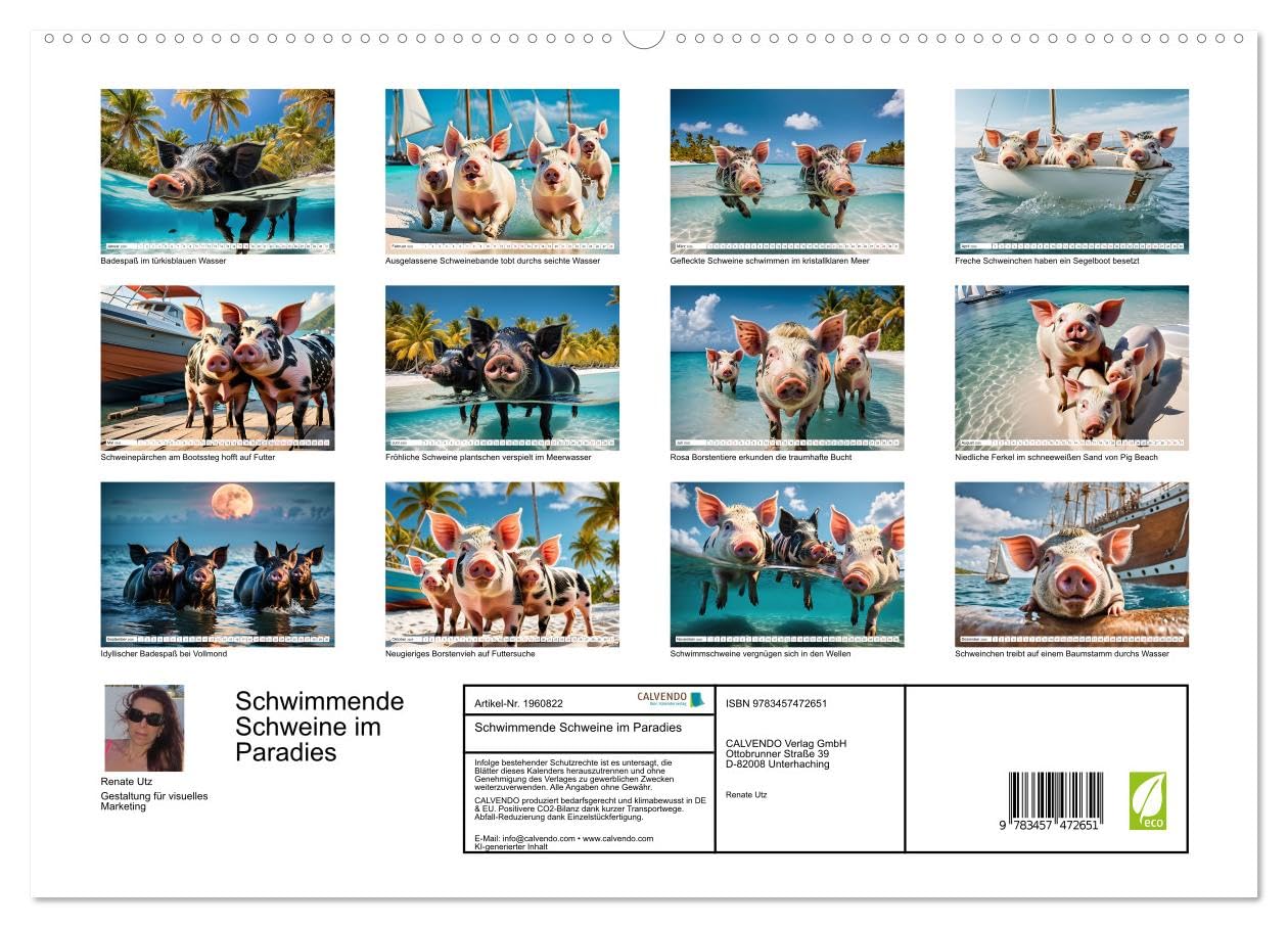 Schwimmende Schweine im Paradies (hochwertiger Premium Wandkalender 2026 DIN A2 quer), Kunstdruck in Hochglanz: Niedliche Schweinchen tummeln sich an ... in kristallklaren Gewässern (CALVENDO Tiere)
