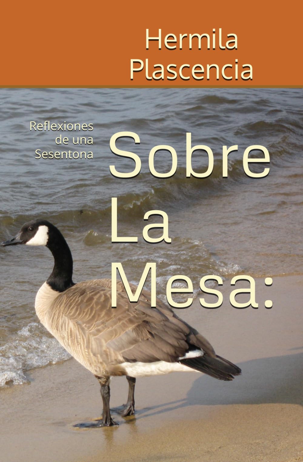 Sobre La Mesa:: Reflexiones de una Sesentona