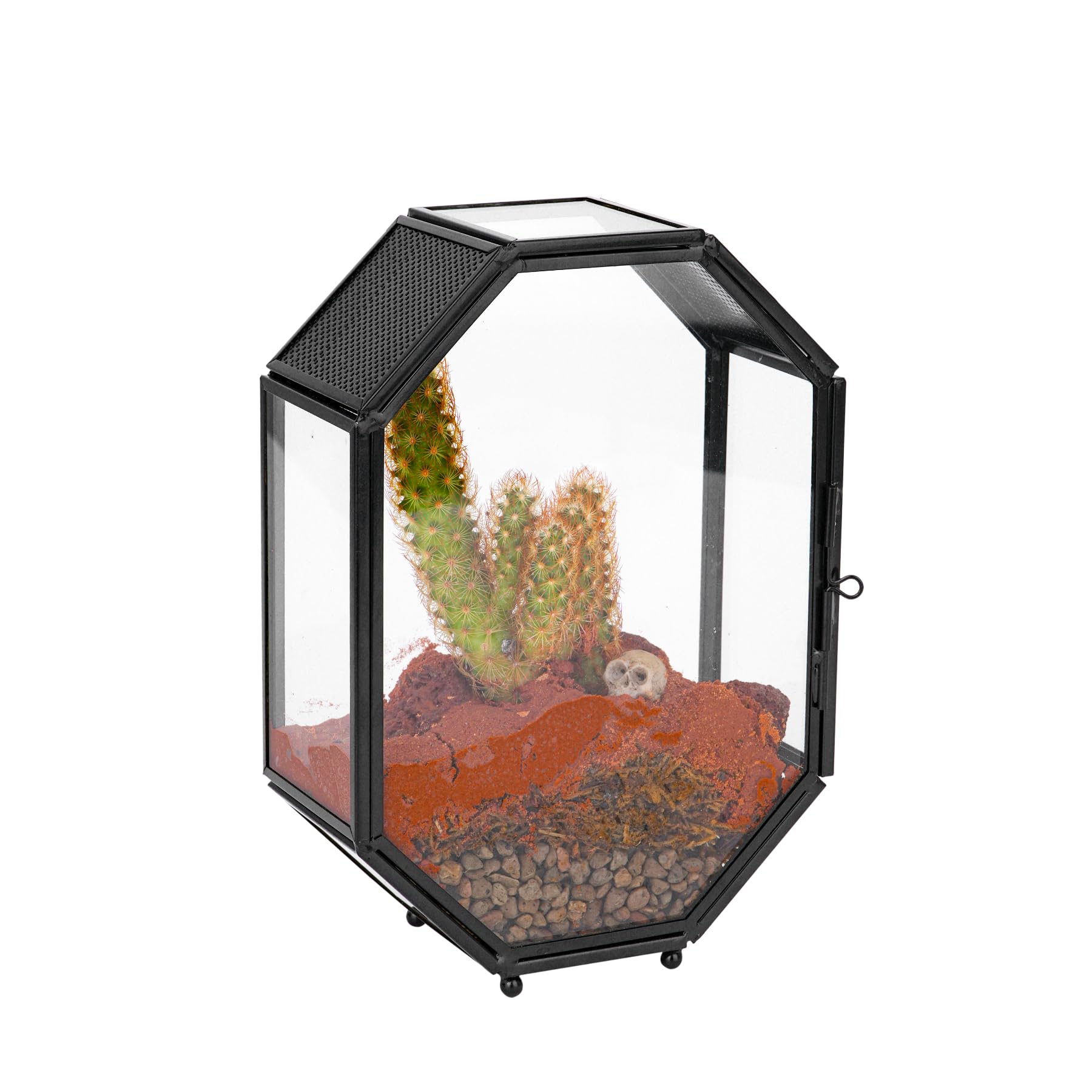 NCYP Mini terrario in vetro con sfiato e porta per piante grasse, ragni saltanti, insetti, ottagonale, piccolo recinto geometrico chiuso, decorazione da tavolo per interni, 12,7 x 5,8 x 17,8 cm (solo