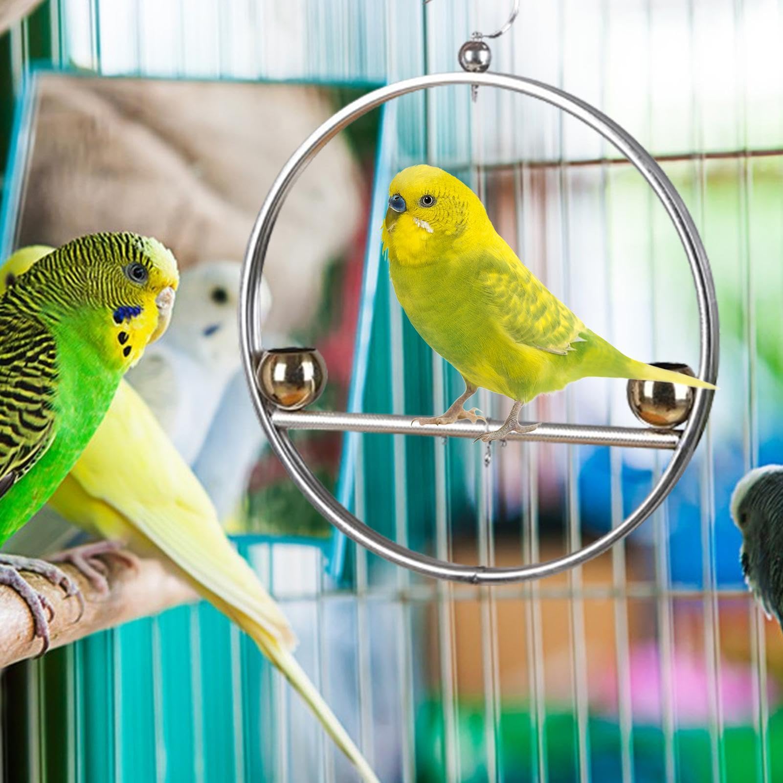 Supporto per uccelli in acciaio inox, altalena rotonda per pappagalli, supporto per pappagallo, supporto per altalena, design a doppia nappa, antiruggine, con gancio, per animali