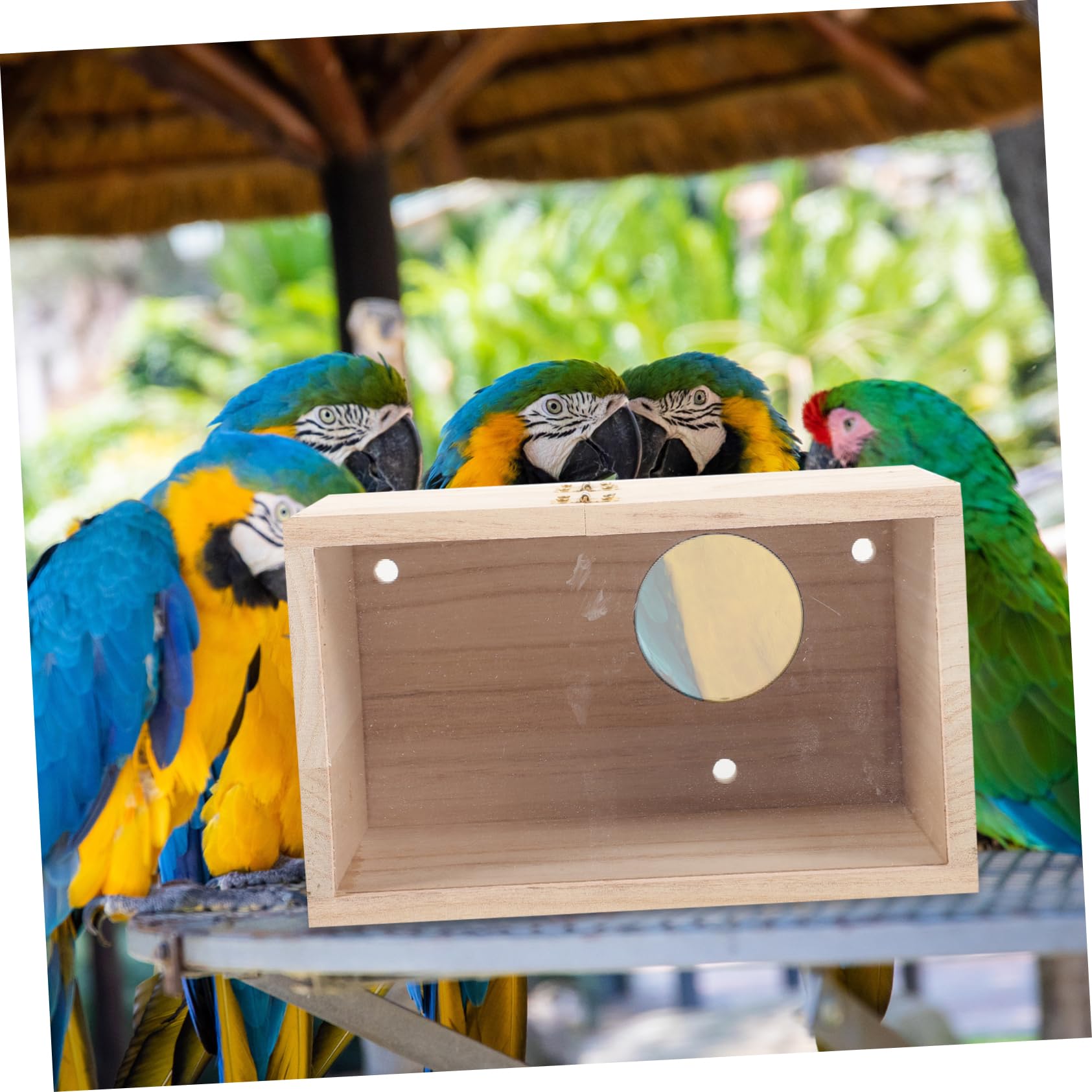 COLLBATH Wooden Parakeet Nest Box with Hinged Lid Bird House for Outdoor Use Lightweight and Portable Design for Breeding Budgies Cockatiels and Lovebirds