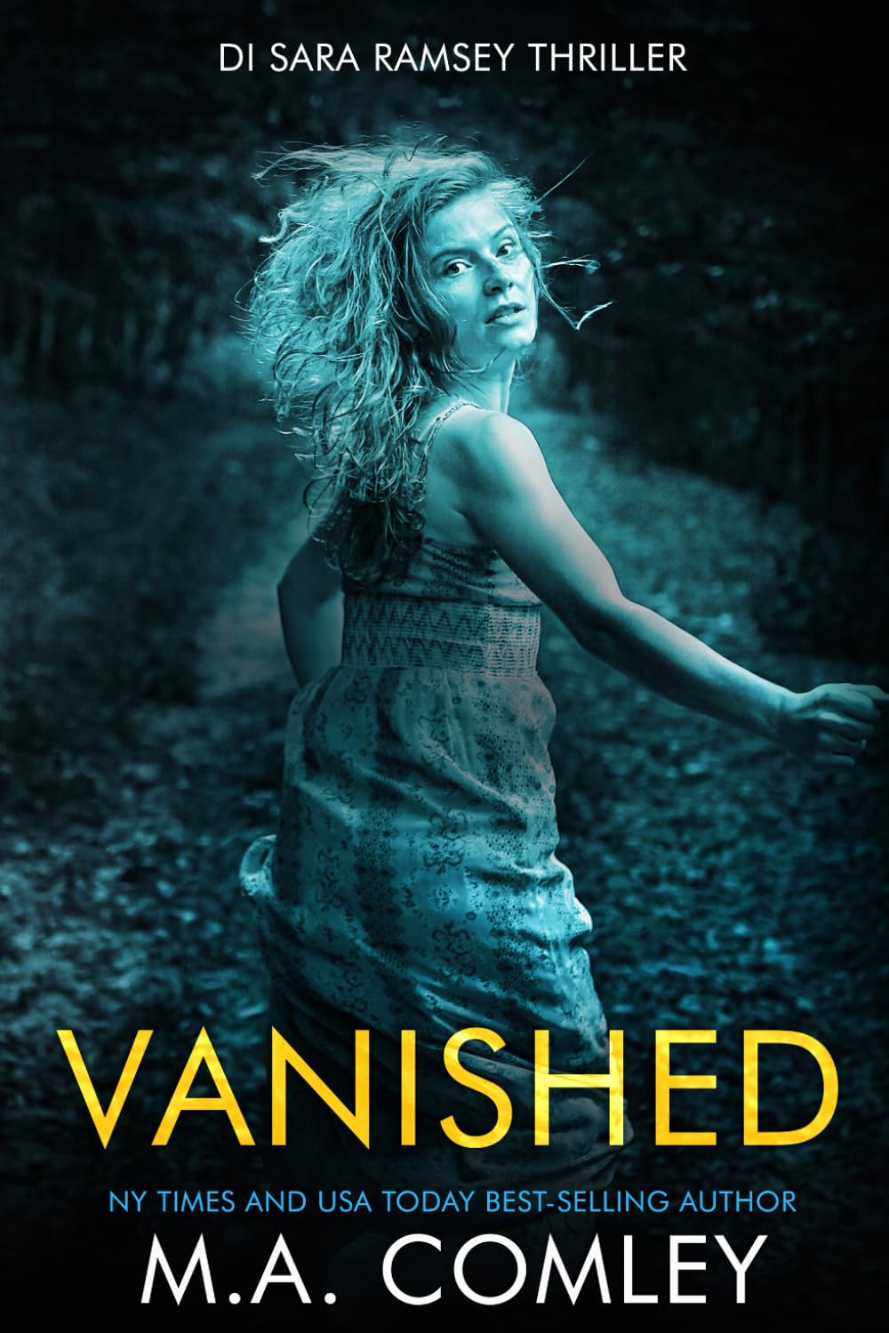 Vanished (DI Sara Ramsey)