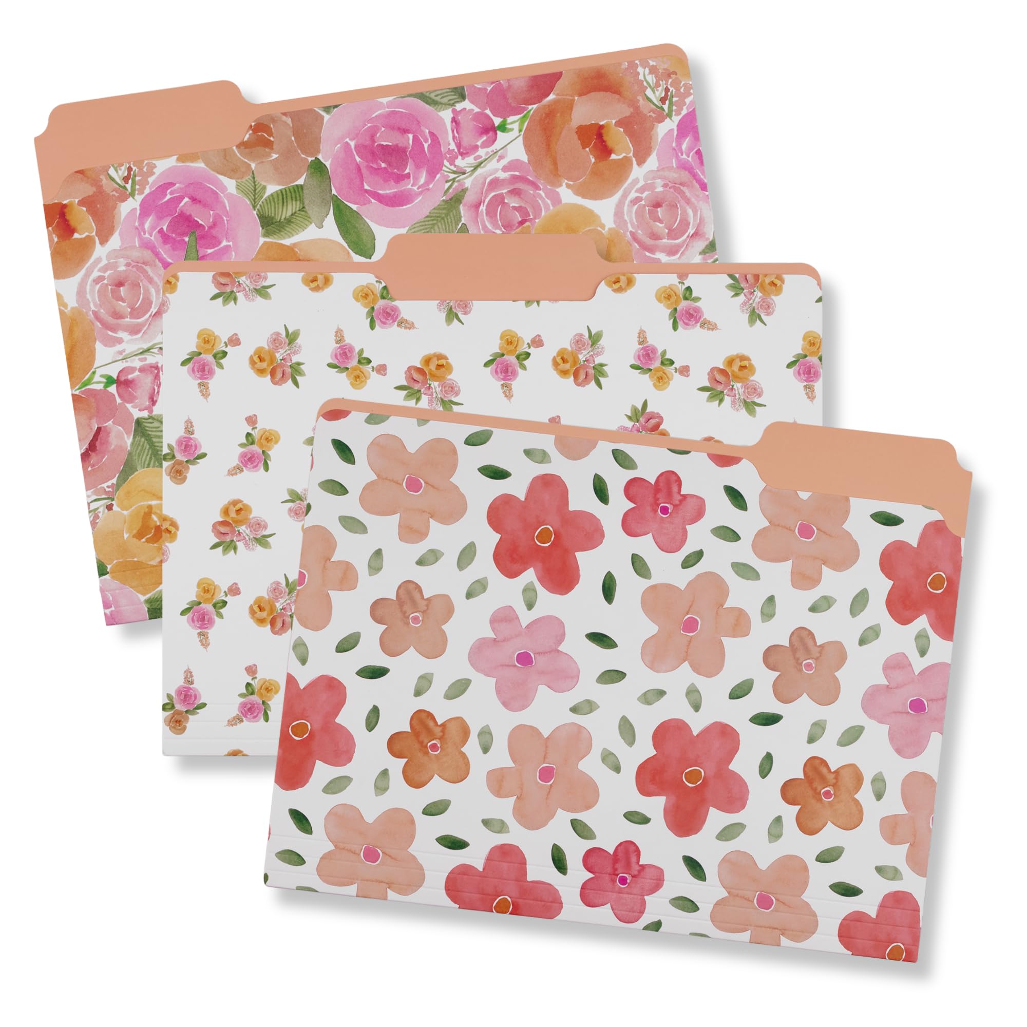 Steel Mill & Co Cute File Folders, Set of 9, Document Organizer for Filing Cabinet, Decorative Letter Size Files, Full Posey/Scattered Posey/Bold