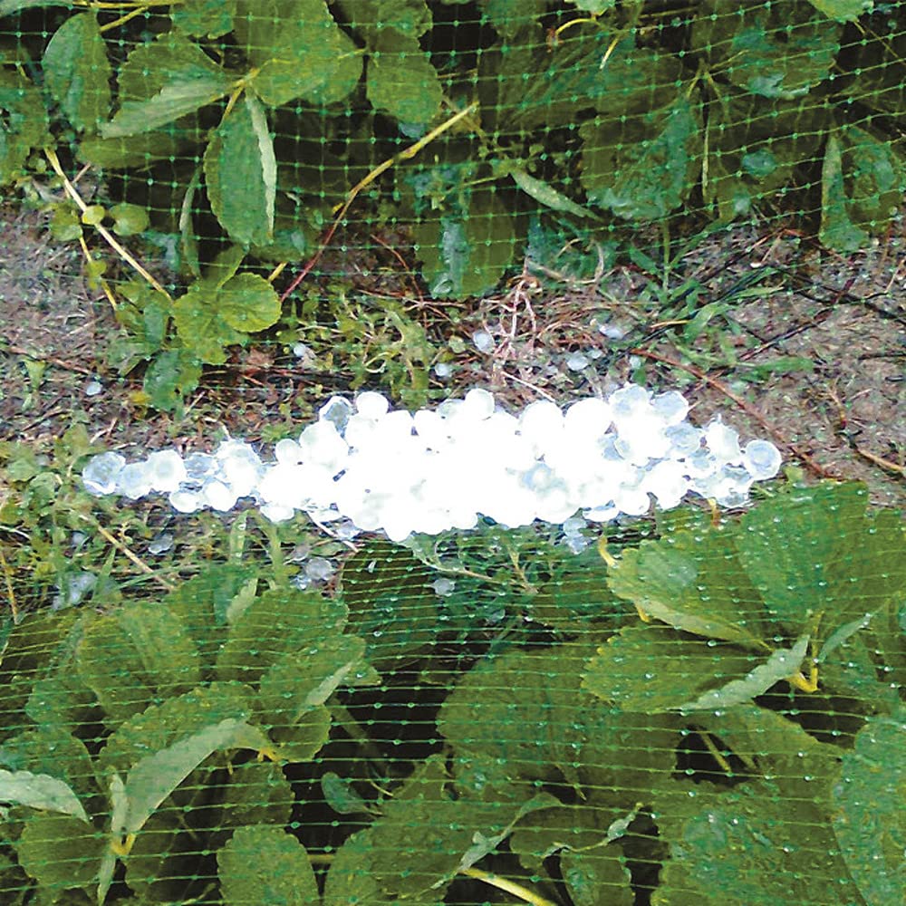 VERDELOOK Tessuto Antigrandine Mini Rotoli, 3x10m, Verde, per Agricoltura, vigneti e coperture