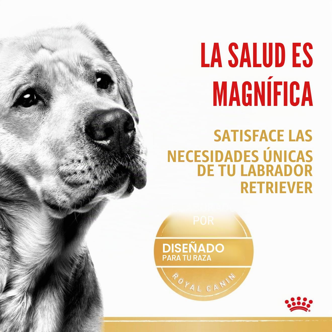 Royal Canine Labrador Adult Caja 10X140GR