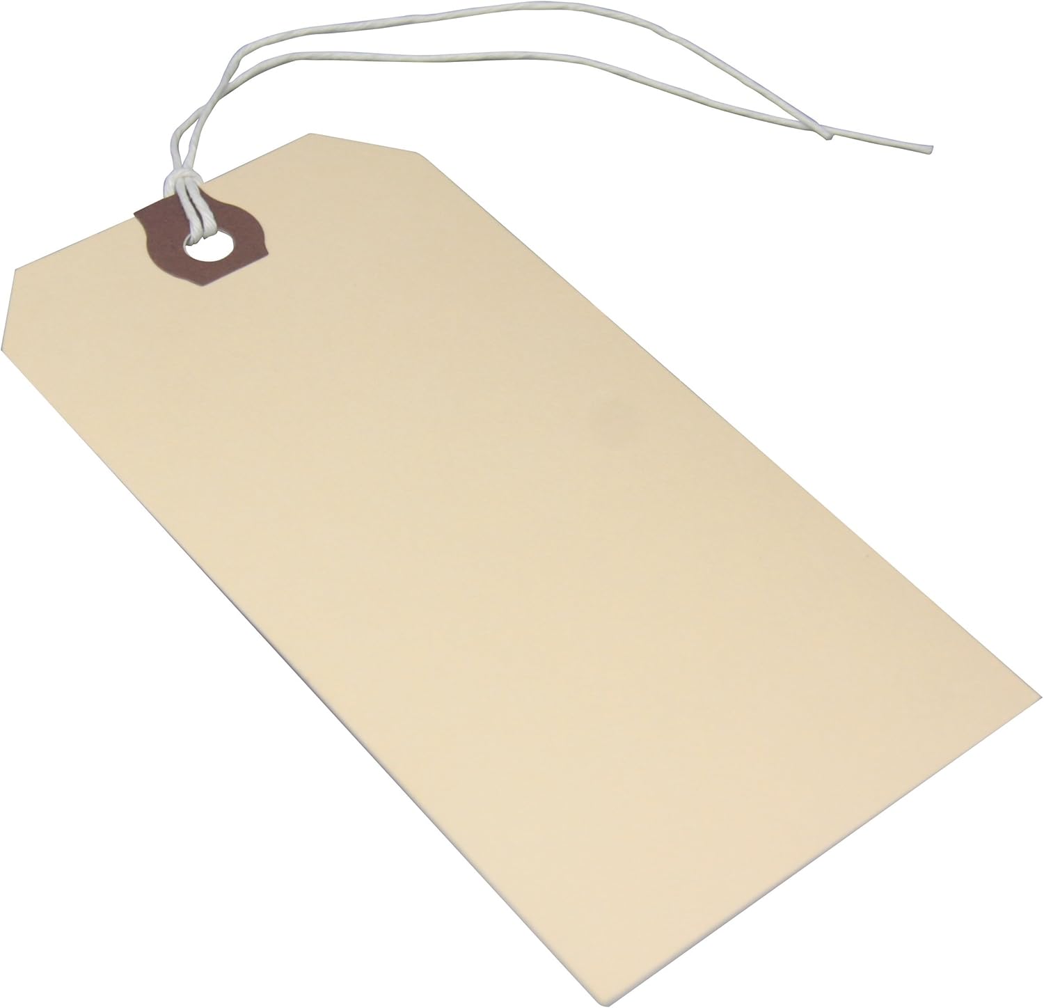 Amram Strung Shipping Tags and Hang Tags, 4 3/4-in x 2 3/8-in, 100 Tags, Manila with Reinforced Eyelet : Office Products