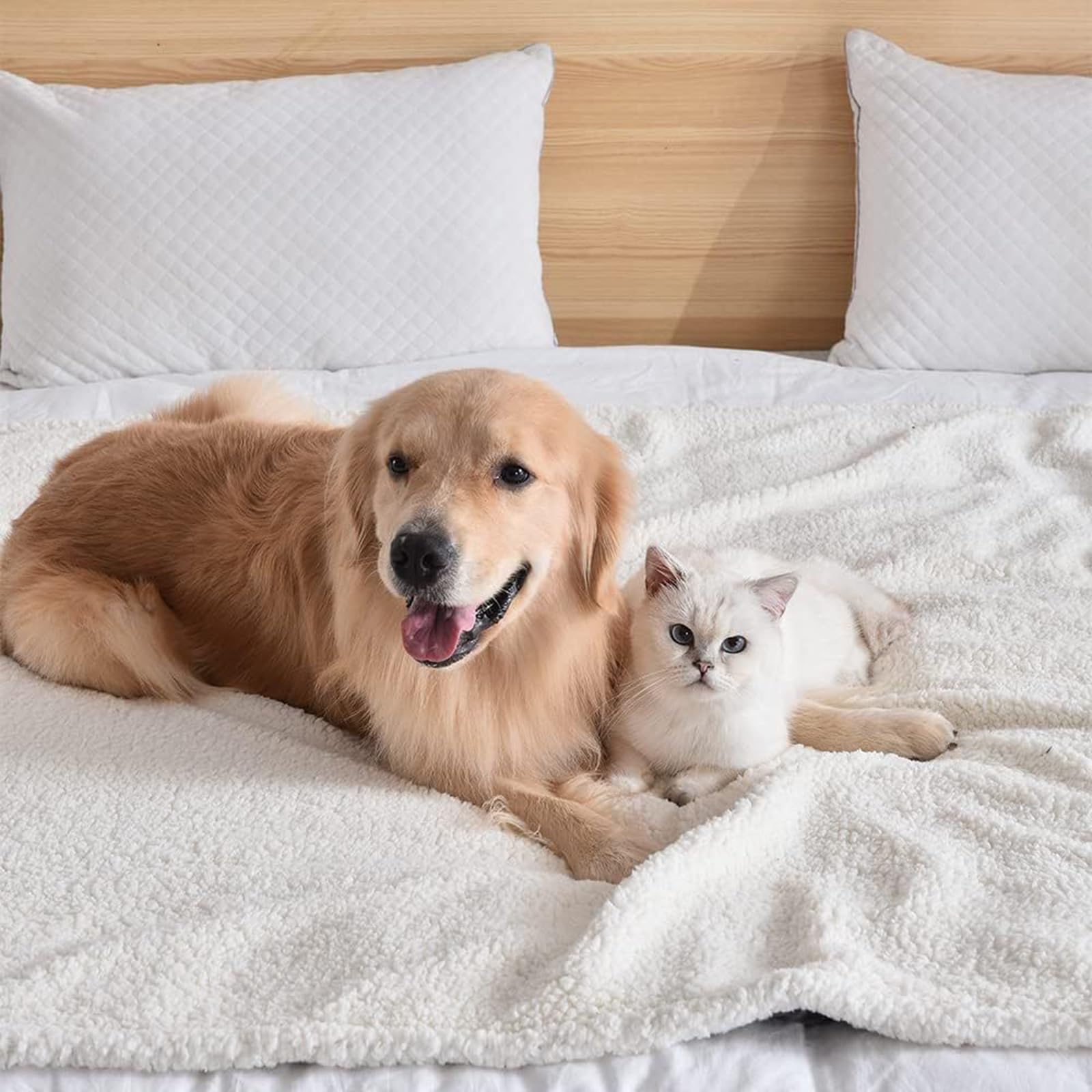 Manta Cálida para Perros Y Gatos Cama para Perros Reversible Colchón para Jaulas Manta para Mascotas Funda Y Protección para Muebles para Perros Gatos Conejos Y Otras Mascotas (Color : Grey 2, Size
