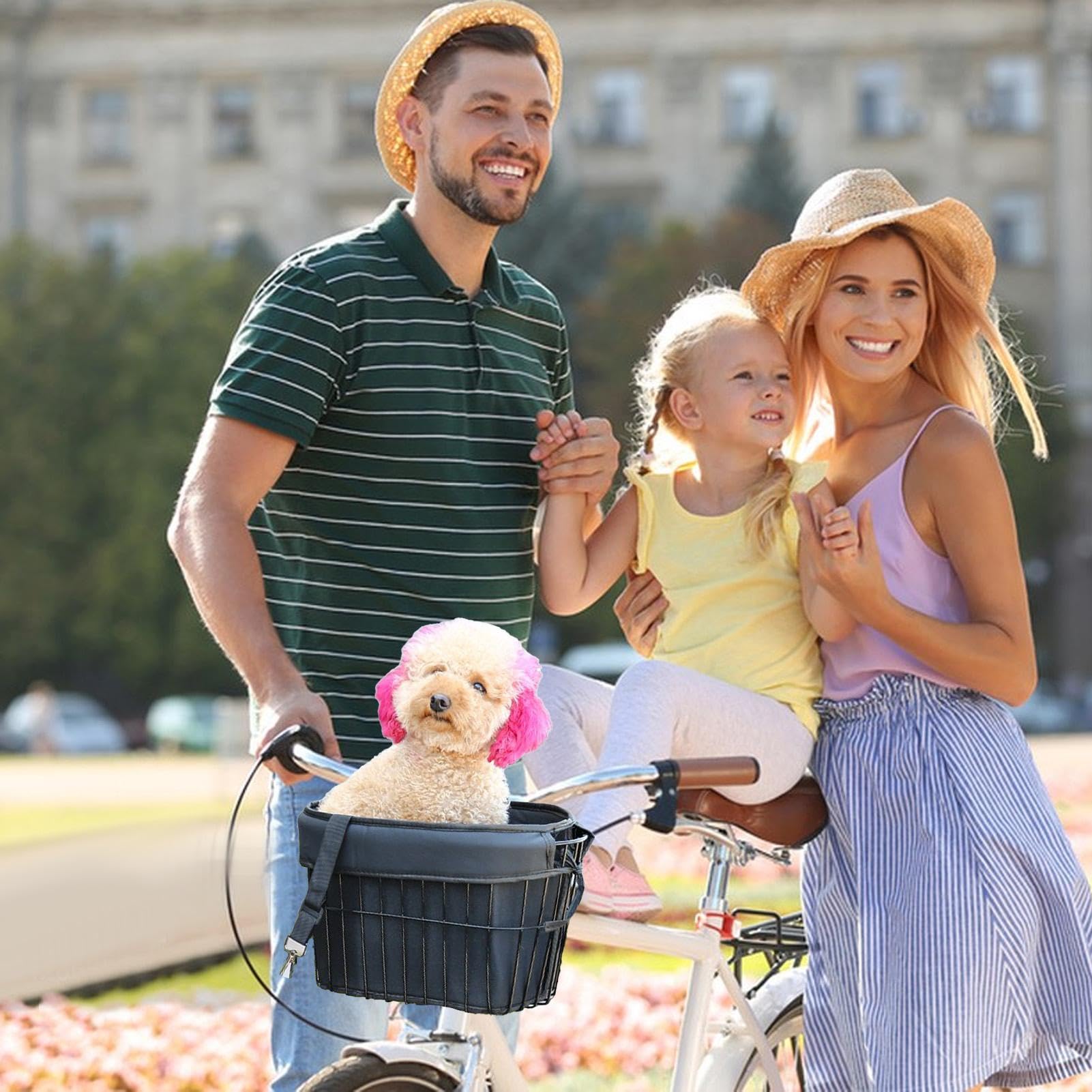Bike Canke Basket Front, cestino per cani davanti per bici Panket del