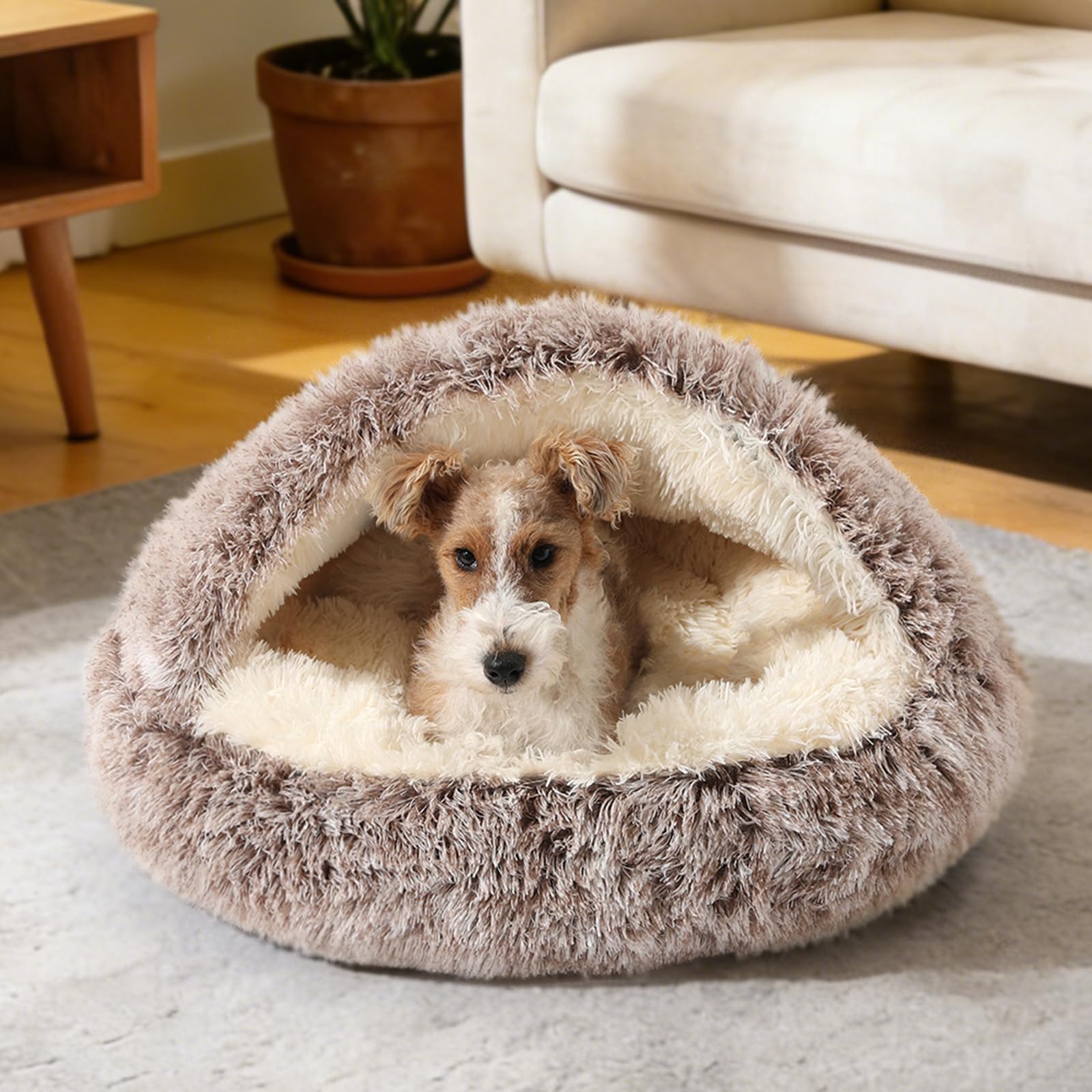 Amazon.com : NOYAL Round Hooded Donut Dog Bed for Small & Medium
