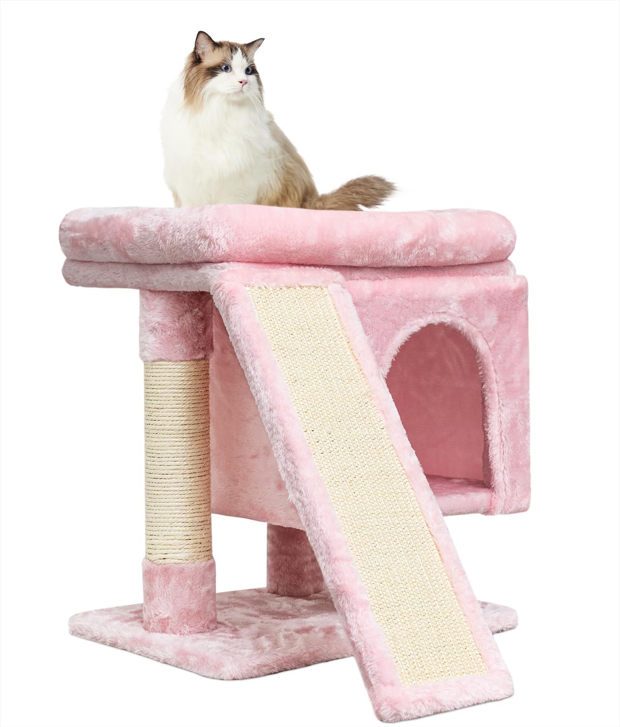 https://m.media-amazon.com/images/I/71l-5Ef1jdL._AC_SL1500_.jpg