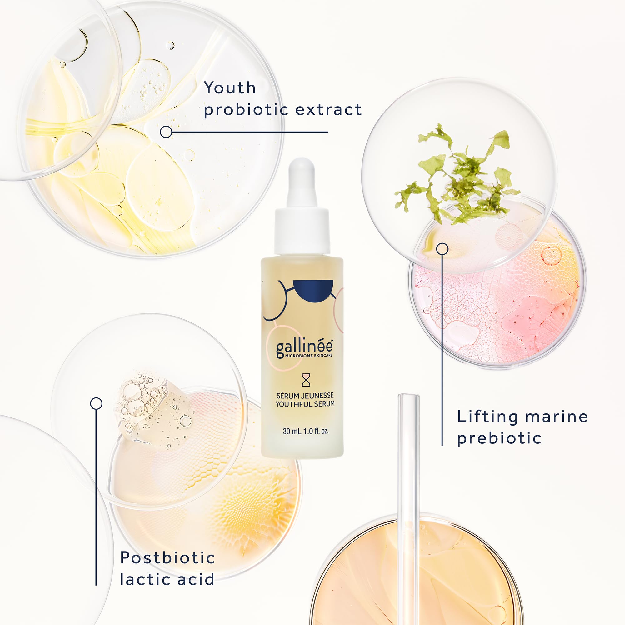 Gallinée, Youthful Face Serum, Probiotic Serum for Anti-Ageing & Hydration, with Lactic Acid & Marine Based Prebiotic - Image 3