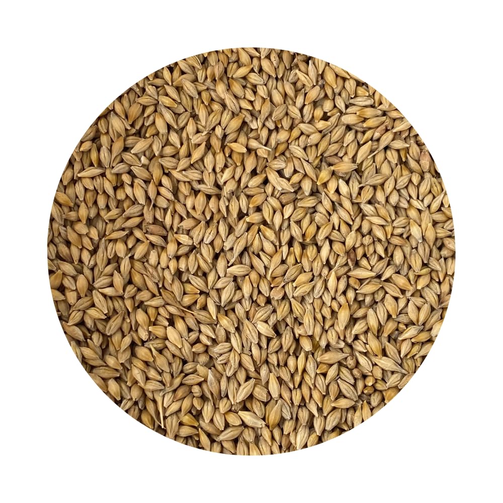 Barley Grass Seed – UK Grown, Regeneratively Farmed | Chemical-Free, Ideal for Juicing, Pets, and Barley Green Powder | from Brow Farm, Lancashire (2kg)