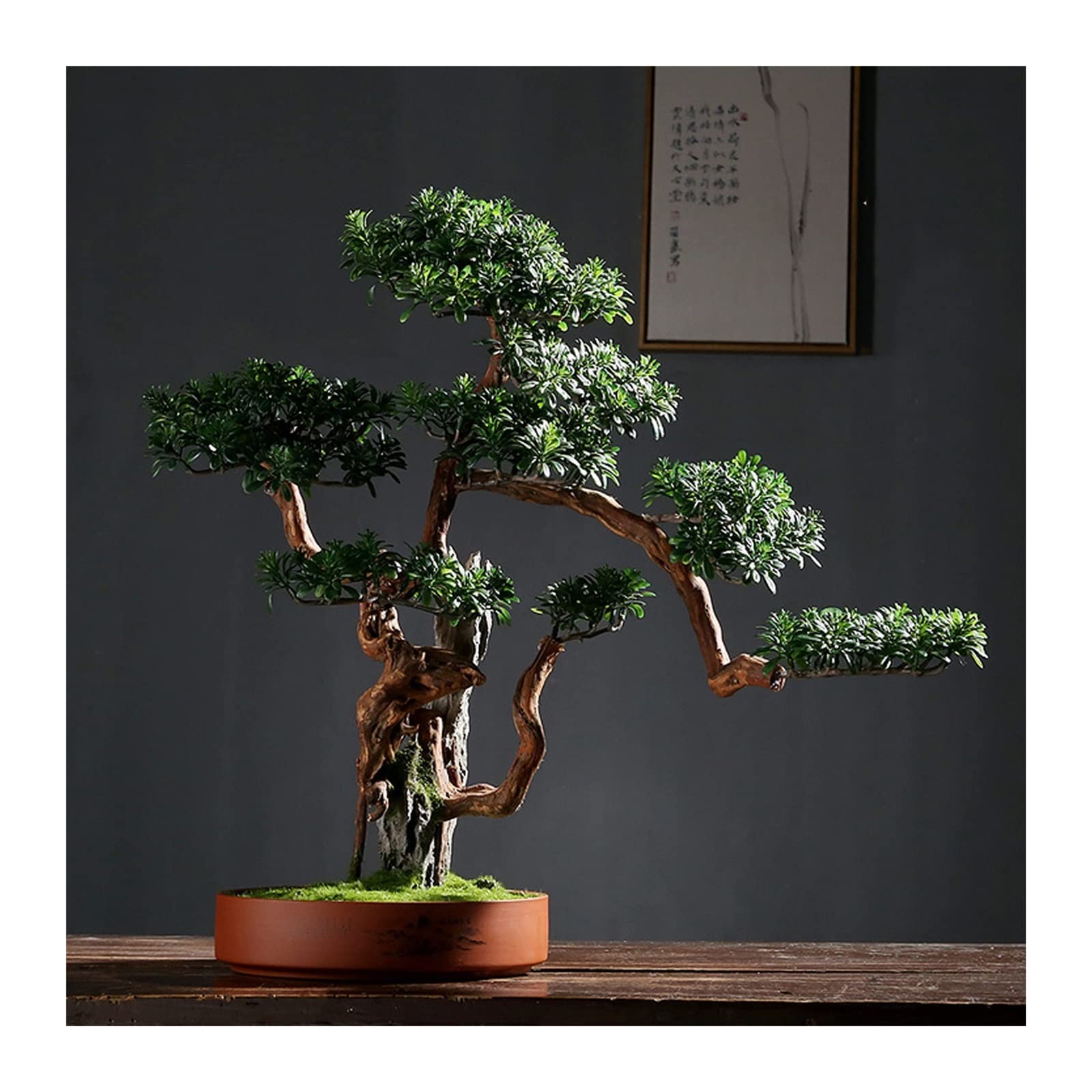 IUokLU Tree Fake Plant Artificial Bonsai Tree with Ceramic Pots Faux Plants for Home Office Farmhouse Decorations, Tall 21.6" Potted Tree Artificial