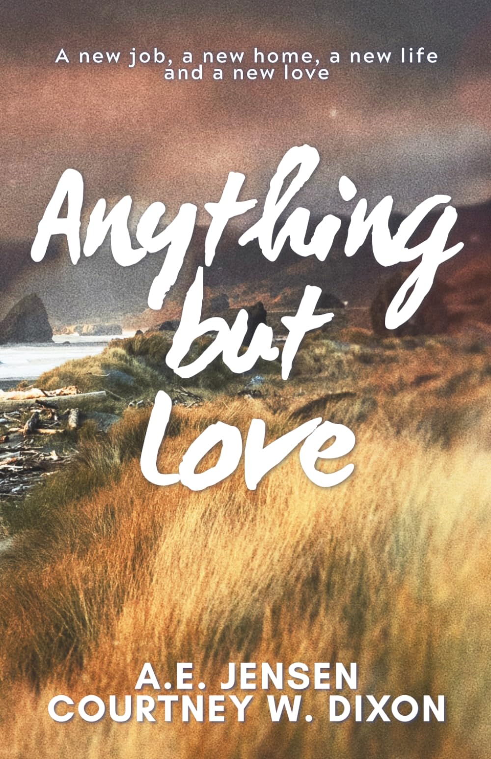 Anything but Love - Alternate Cover