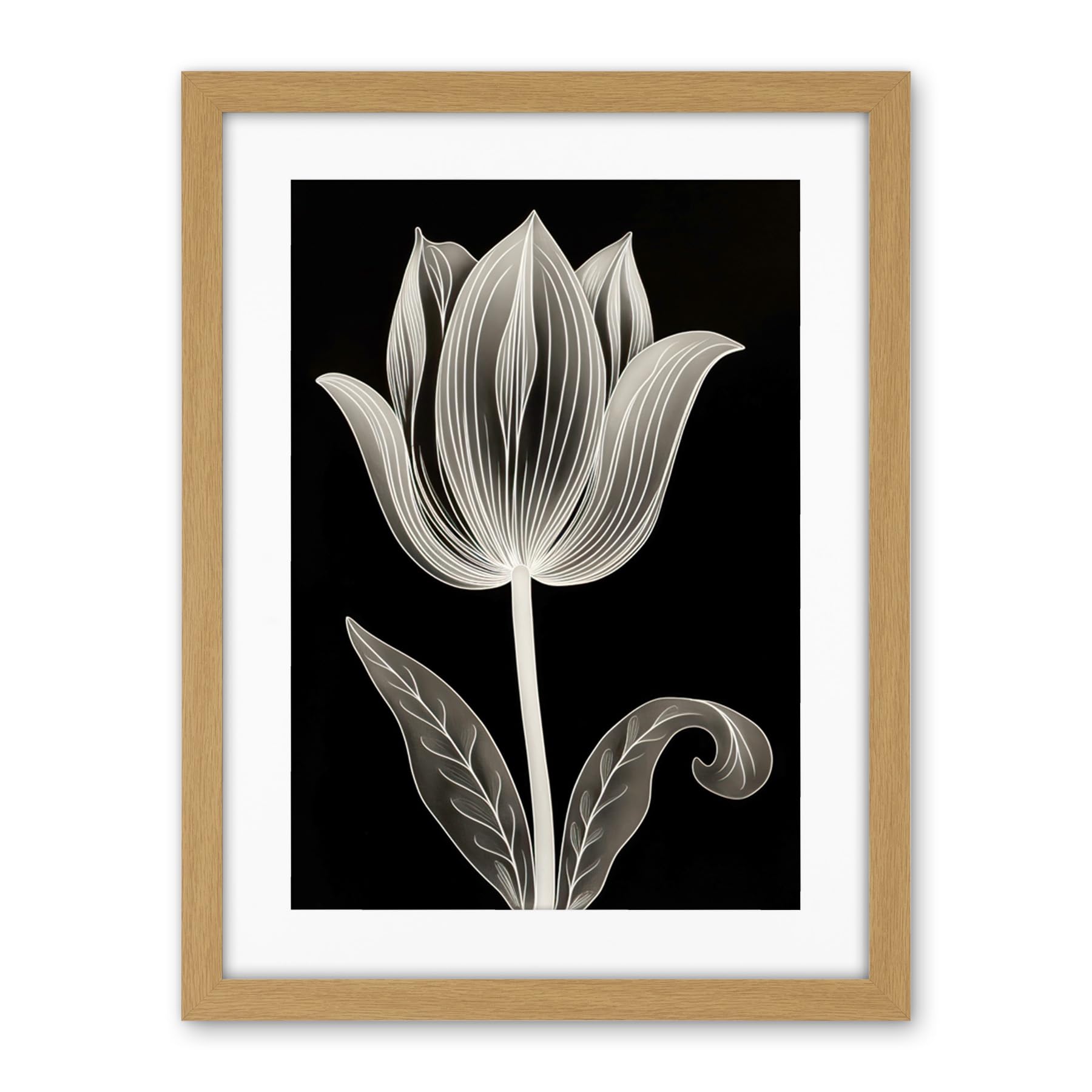 Artery8 A Single Tulip Flower Black and White Folk Art Artwork Framed Wall Art Print 18X24 Inch