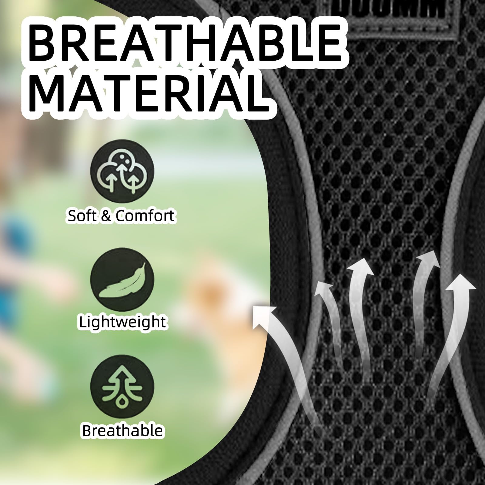 Dog Harness Medium Breathable Vest, Step-in Cat Puppy Collars and Lead Sets - Image 3