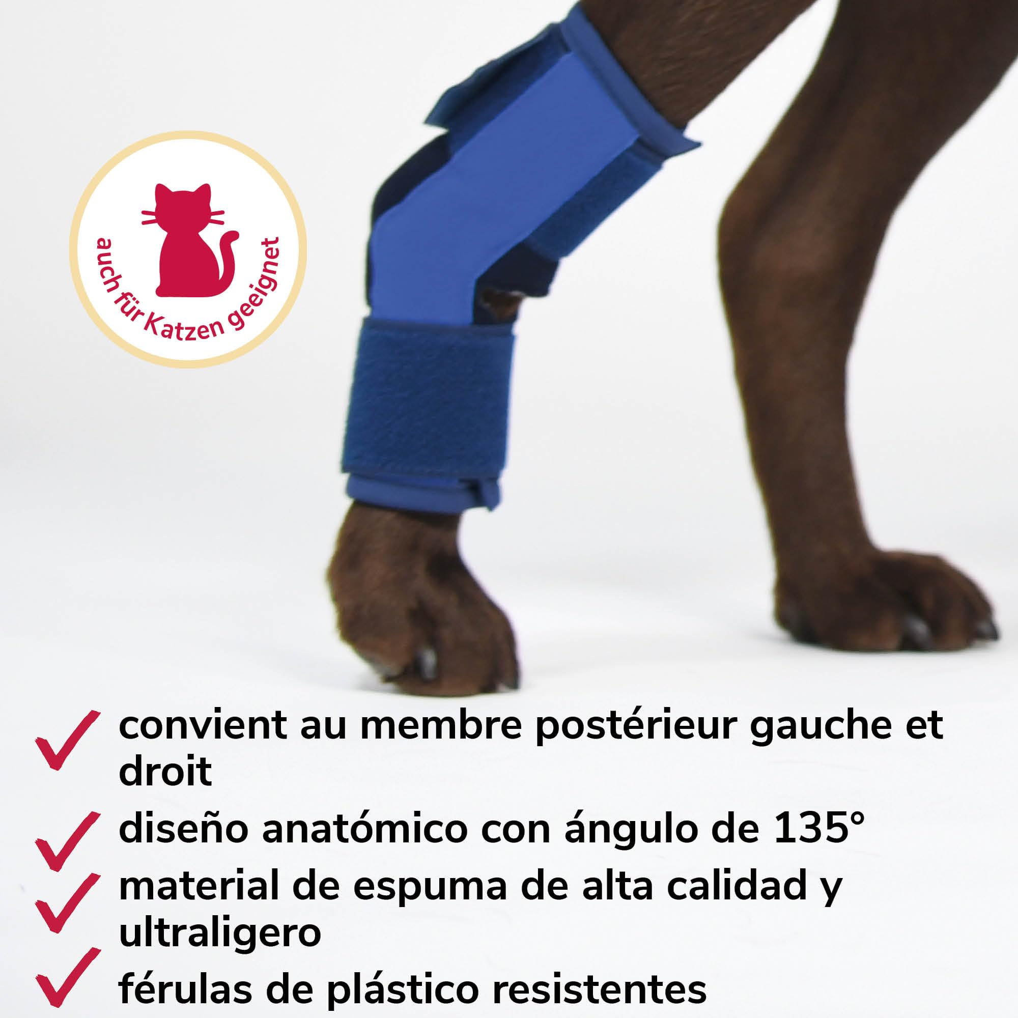 Vendaje de Corvejón de Espuma Talla L para Perros & Gatos – Transpirable con Férulas para el Soporte del Corvejón en Artrosis e Inestabilidad