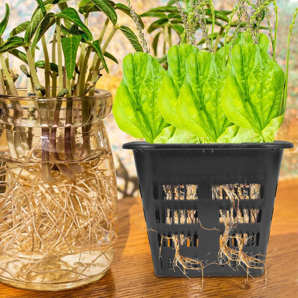 Supvox 10er-Packung 14 cm (5,5 Zoll) Robuste Netztöpfe – Hydroponik-Becher mit Schlitzen für – Wiederverwendbare Kunststoffkörbe mit Breitem Rand für Orchideen Und Gartenpflanzen
