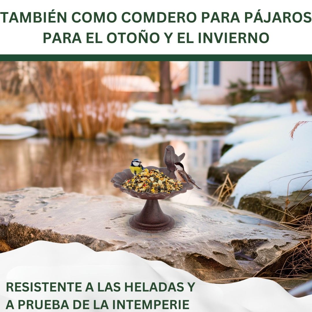 Bebedero para pájaros, bebedero de agua para pájaros silvestres, abrevadero, comedero, resistente a la intemperie y a las heladas (pájaro con pie)