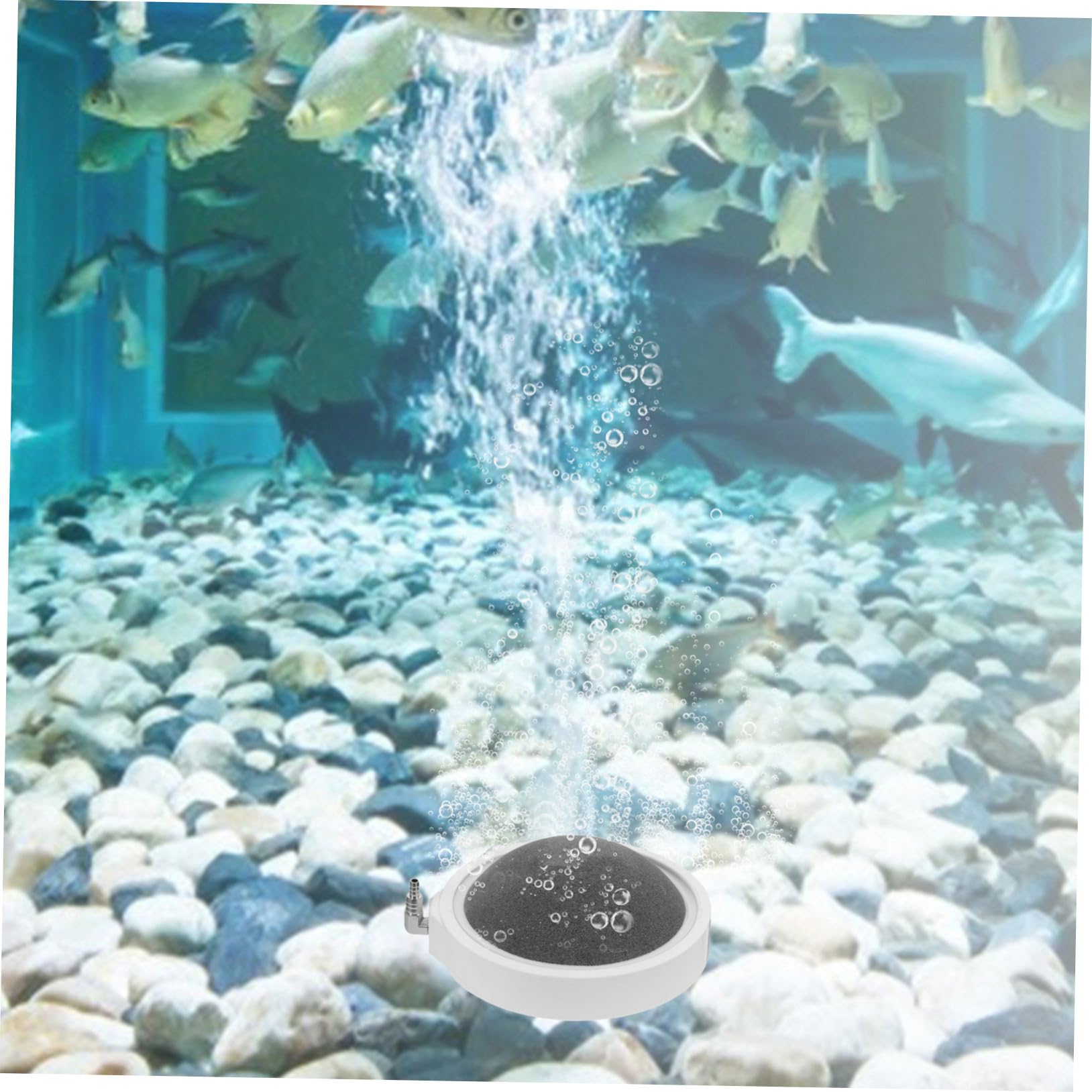 2piezas Piedra Difusora De Aire para Acuario Aumenta y Circula Nutrientes Compacto para Peceras y Filtración De Agua
