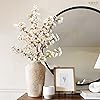 Product Photo 8