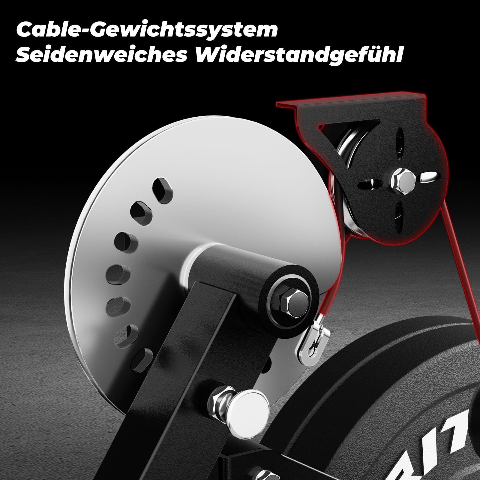 RitFit Beinstrecker Beinbeuger Gerät Beinpresse für Zuhause | 4-fach verstellbare Rückenlehne & 12-fach verstellbare Beinstütze, für Oberschenkel Training & Muskelaufbau Beintrainer