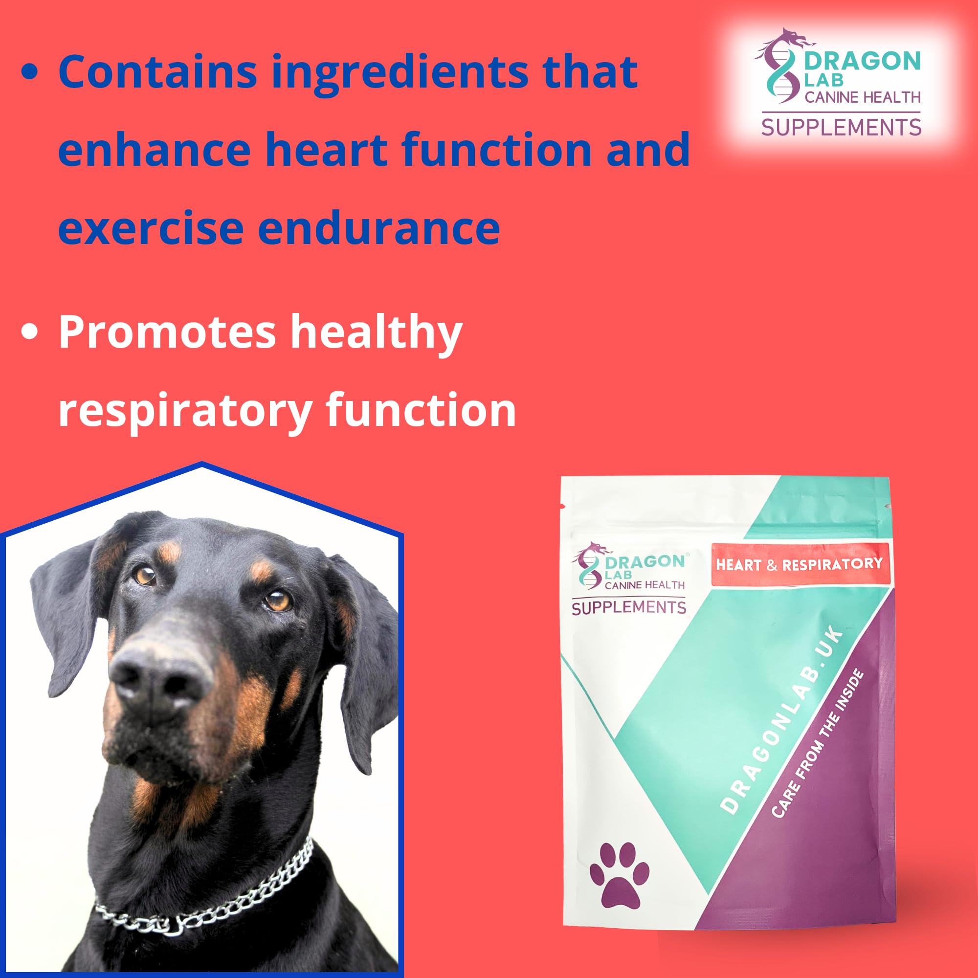 Dog Heart & Respiratory Supplement, White - Image 3