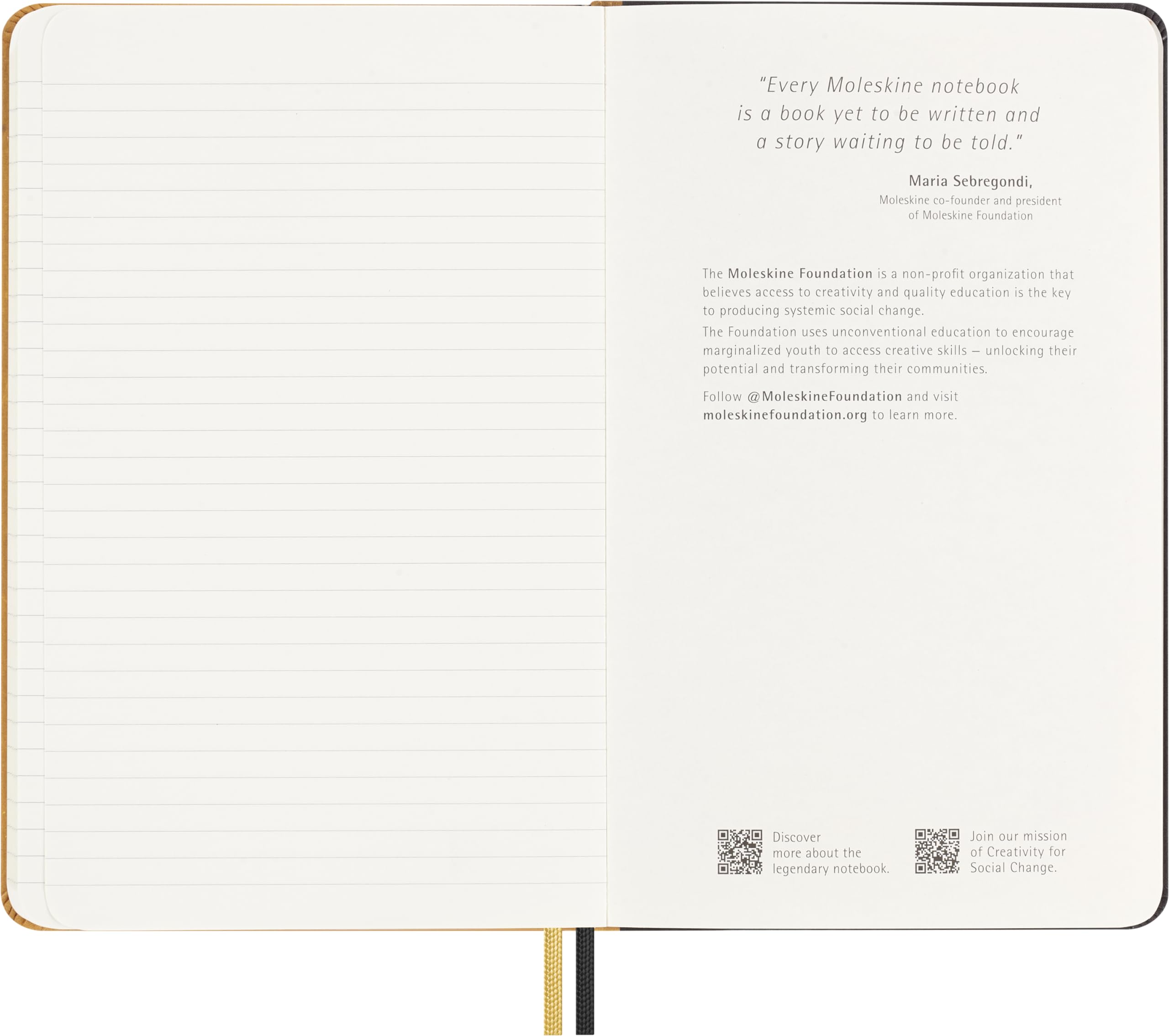Moleskine Das Jahr des Drachen Notizbuch (Ahn Soo Sang), Large/A5, Liniert, Fester Einband