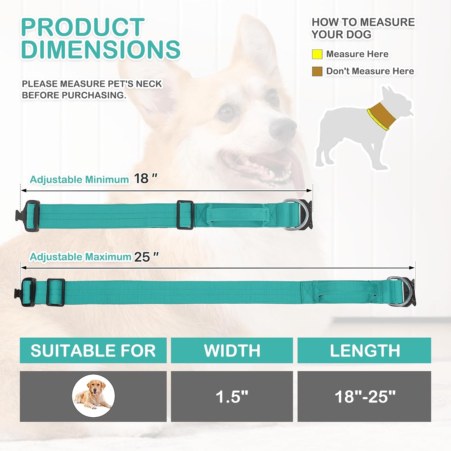 MoNiBloom Tactical Dog Collar with Handle, 1.5 Inch Wide Heavy Duty Military Collar for Medium Large Dog Walking, Training, Running, Teal