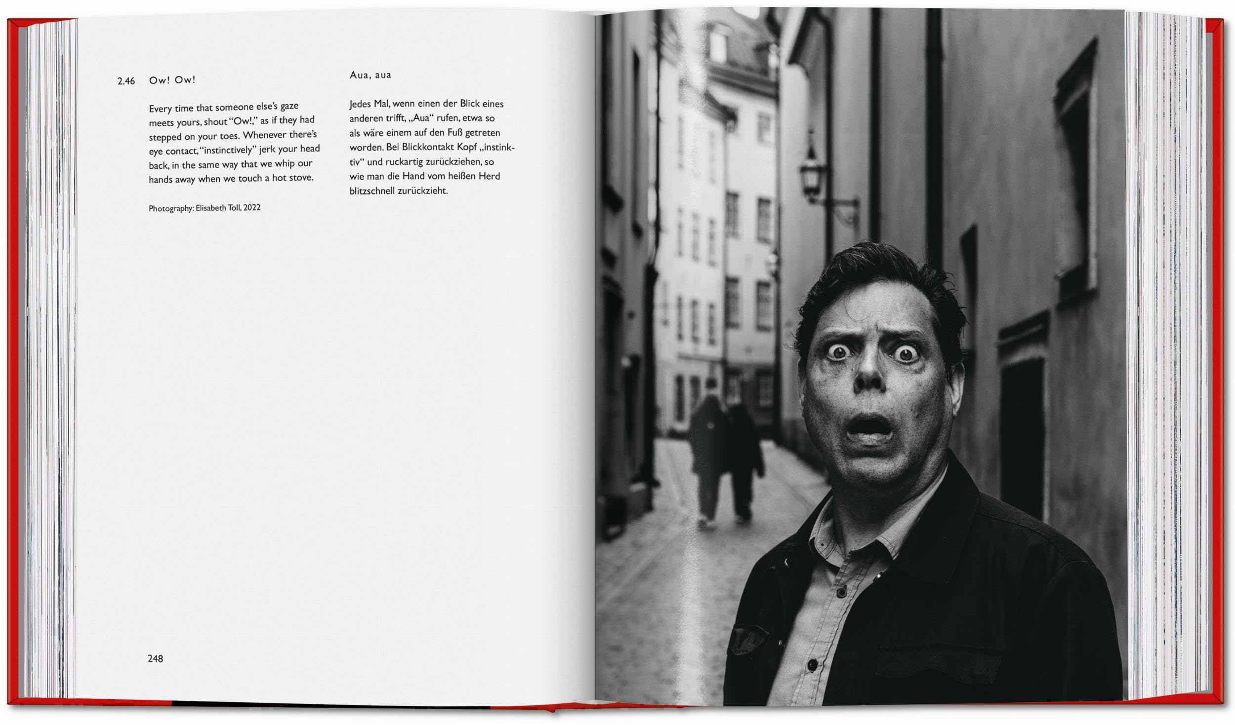 Carsten Höller. Book of Games (Varia)