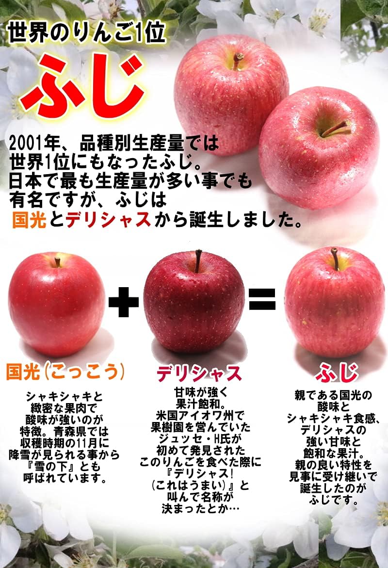 青森りんご あおもり乙女 小い加工用訳あり30㎏ 約600個r ×3 合計30