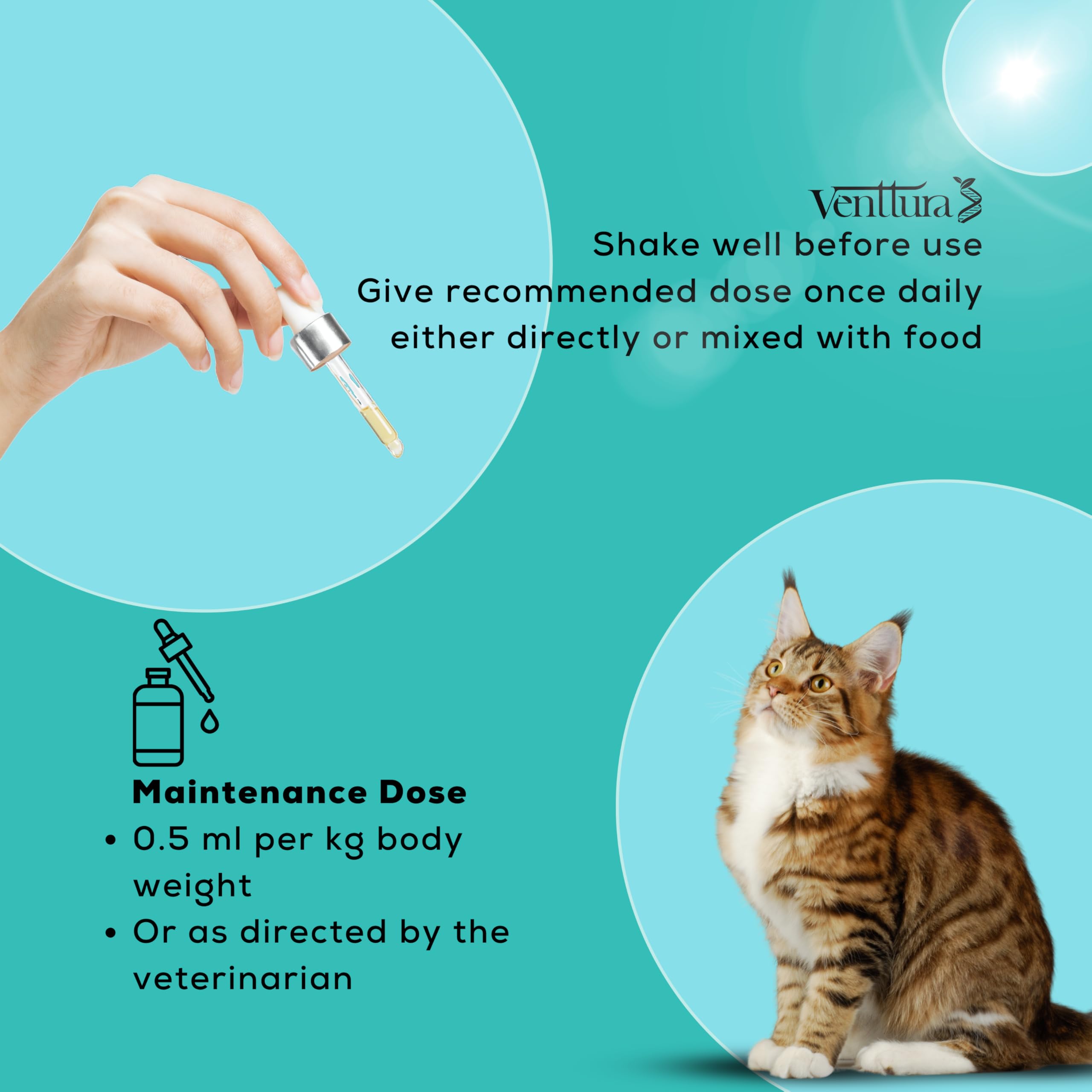 Venttura Amino+ Cat Supplement for Better Health | Amino Acids & Vitamins Suspension | for Overall Health, Growth & Immunity | Cat Supplement for All Life Stages (100 ml Suspension) 4