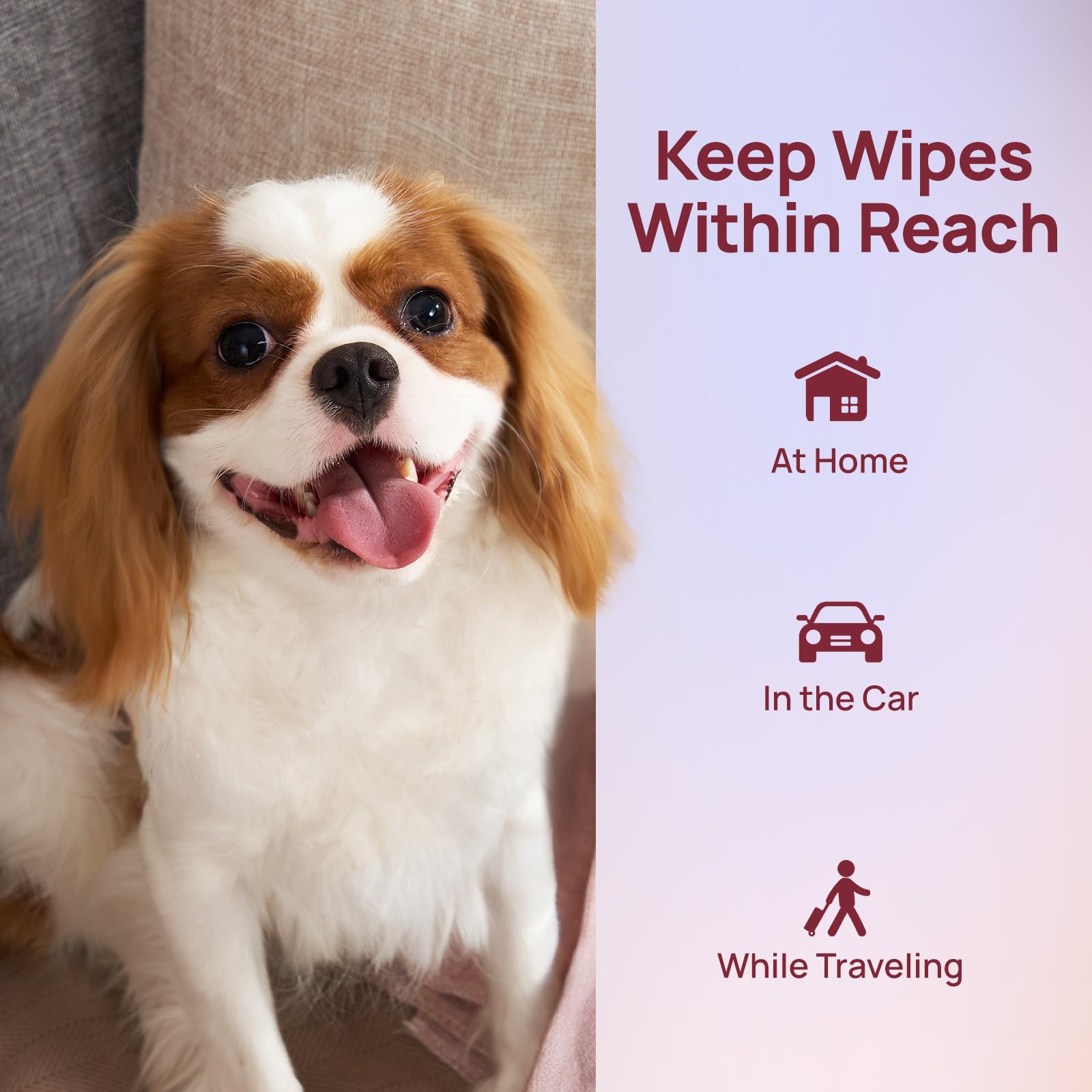 HICC PET Salviette per cani e gatti, Salviette ipoallergeniche consigliate | Salviette per animali domestici per zampe e glutei, salviette da bagno per cani, salviette deodoranti per la pulizia