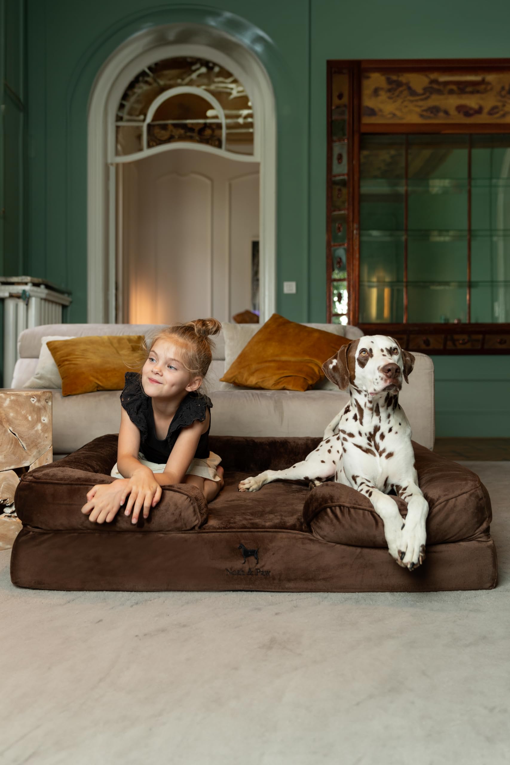 NOAH & PAW XL Dog Bed, 45x35x11 Inch, Orthopedic Large Dog Beds, Eggshell Memory Foam Infused with Cooling Gel, Inner Cover, Waterproof, Machine Washable (Velvet Sofa Collection) - image 2