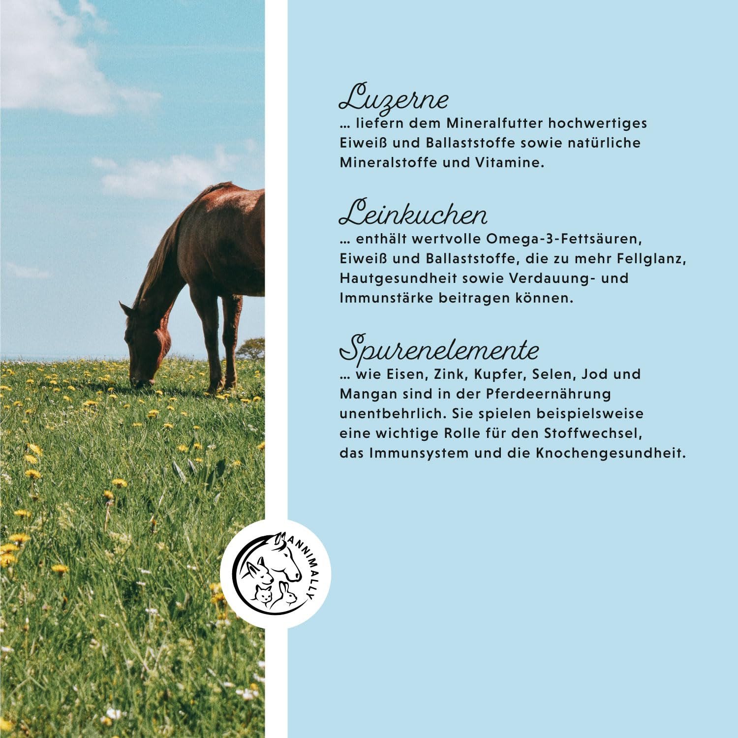 Mineralfutter Pferde organisch getreidefrei 3 kg - getreidefreies Ergänzungs Pferdefutter mit Vitaminen, Mineralstoffen und Spurenelementen, wie Zink, Selen, Omega 3 und Jod (3 kg Eimer)