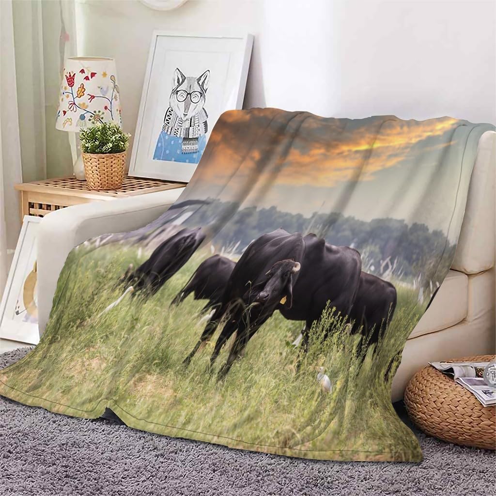 Koc łączny Buffalo Koc na łóżko pojedyncze Ciepło Miękkie, puszyste koce na sofę flanelowe 180 x 200 cm na wszystkie pory roku